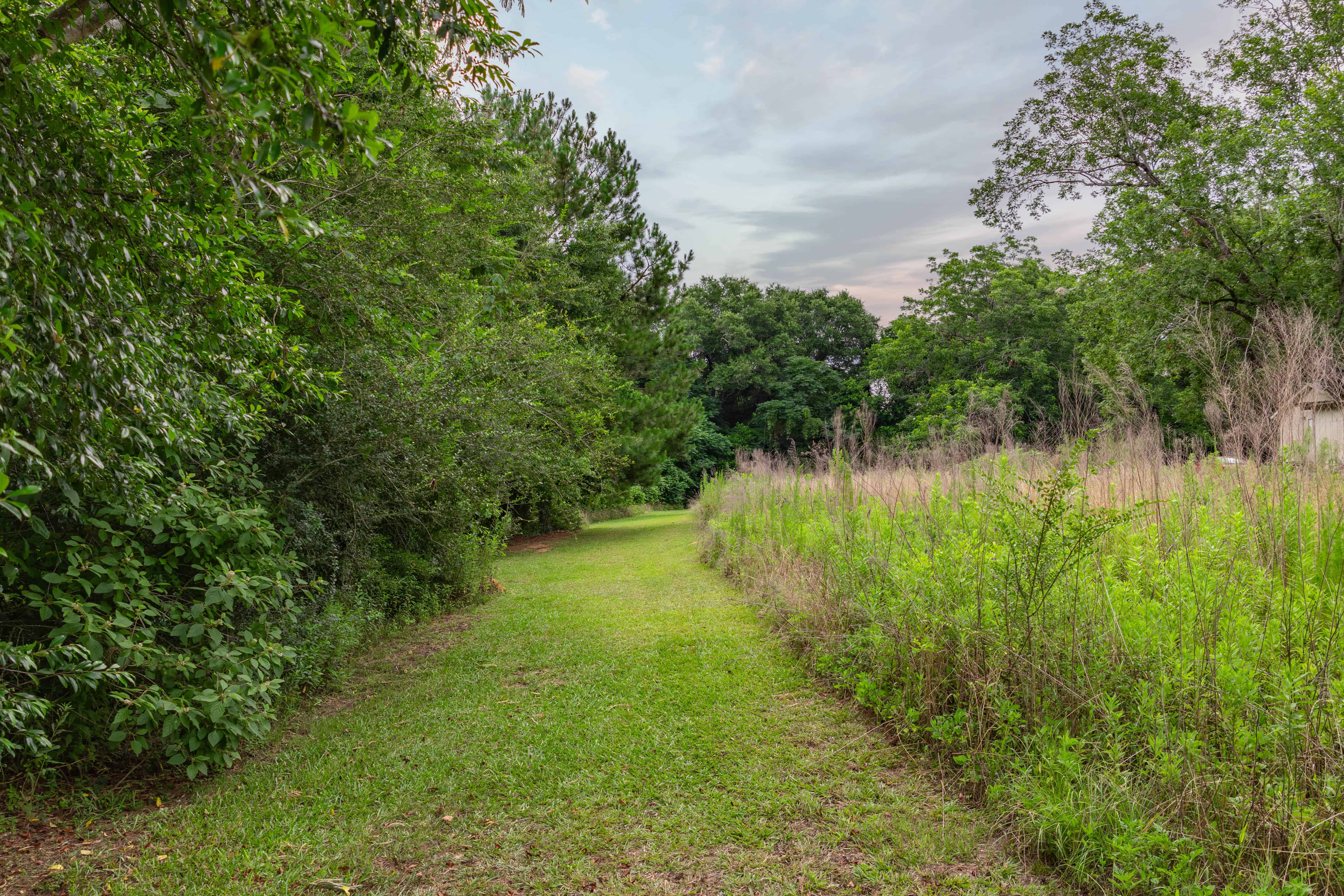 County Road 117 Ariton AL 36311