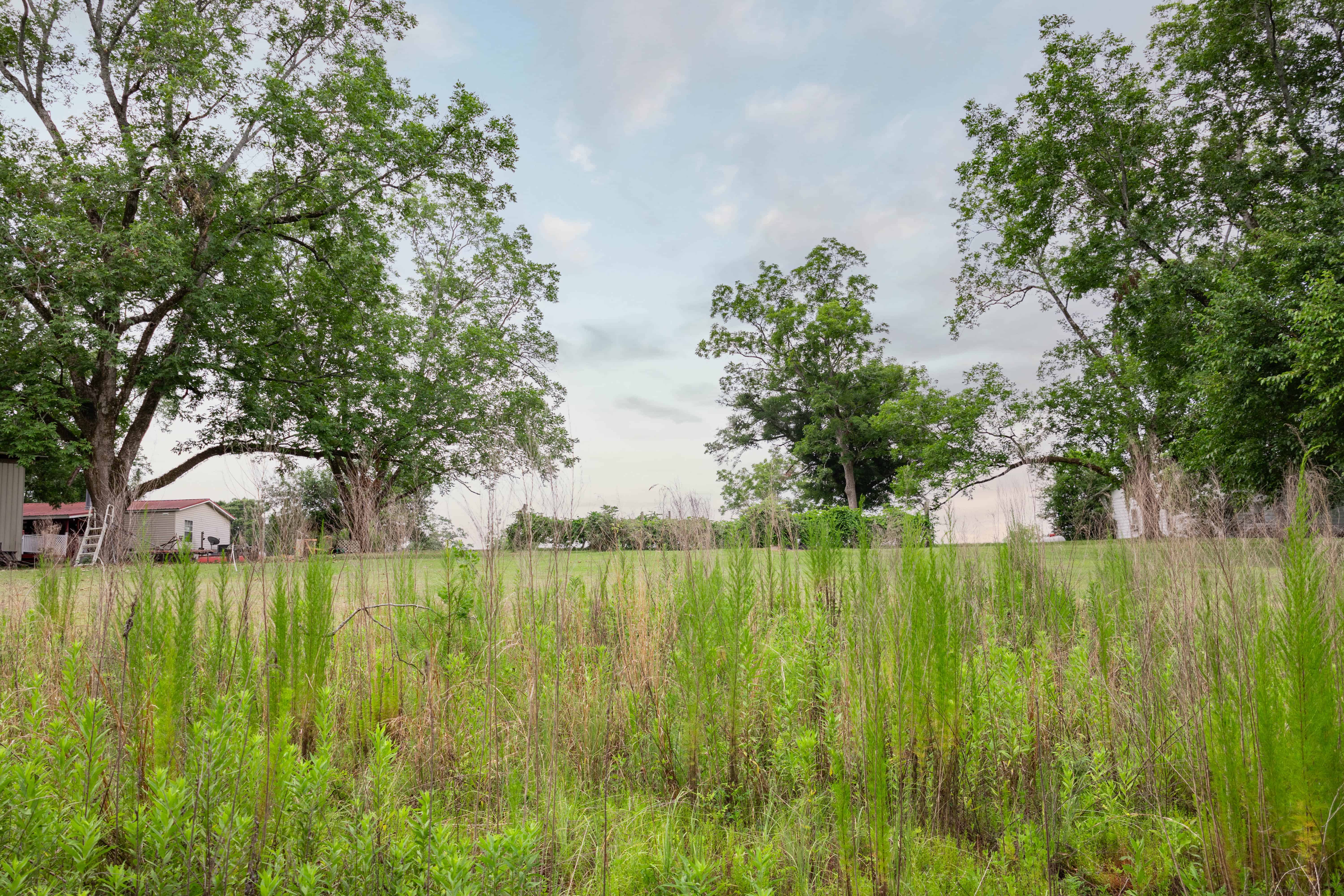 County Road 117 Ariton AL 36311