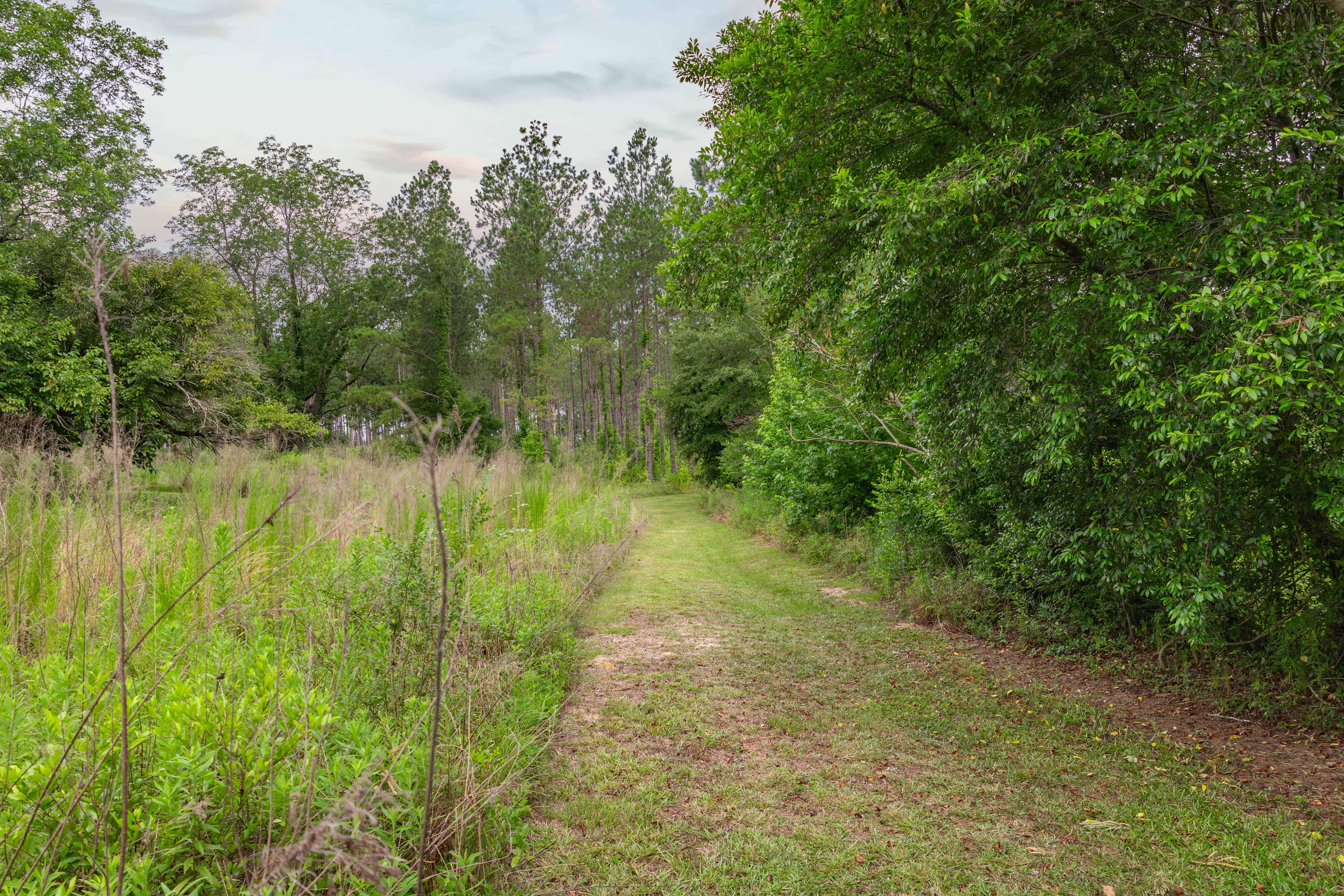 County Road 117 Ariton AL 36311