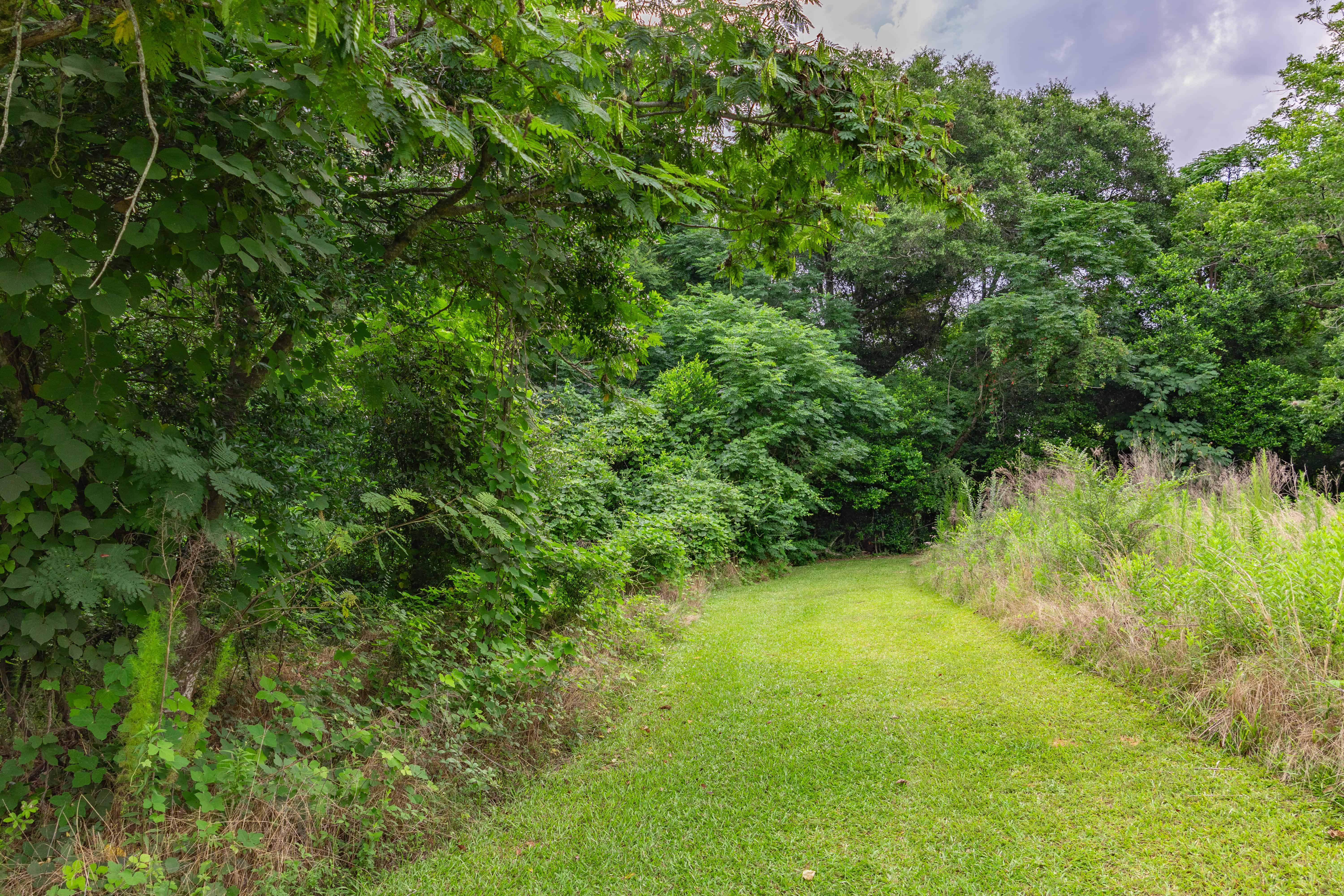 County Road 117 Ariton AL 36311