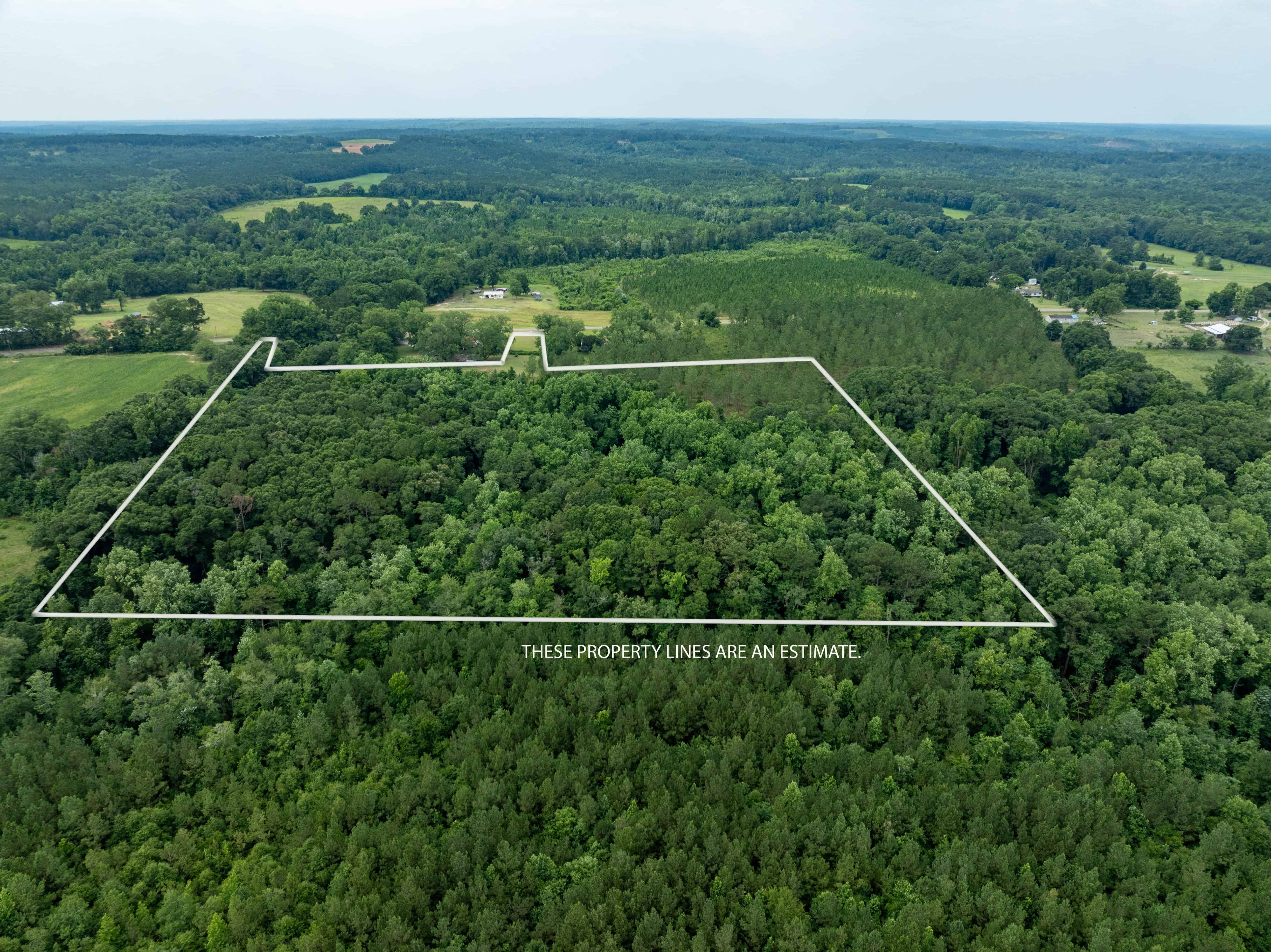 County Road 117 Ariton AL 36311