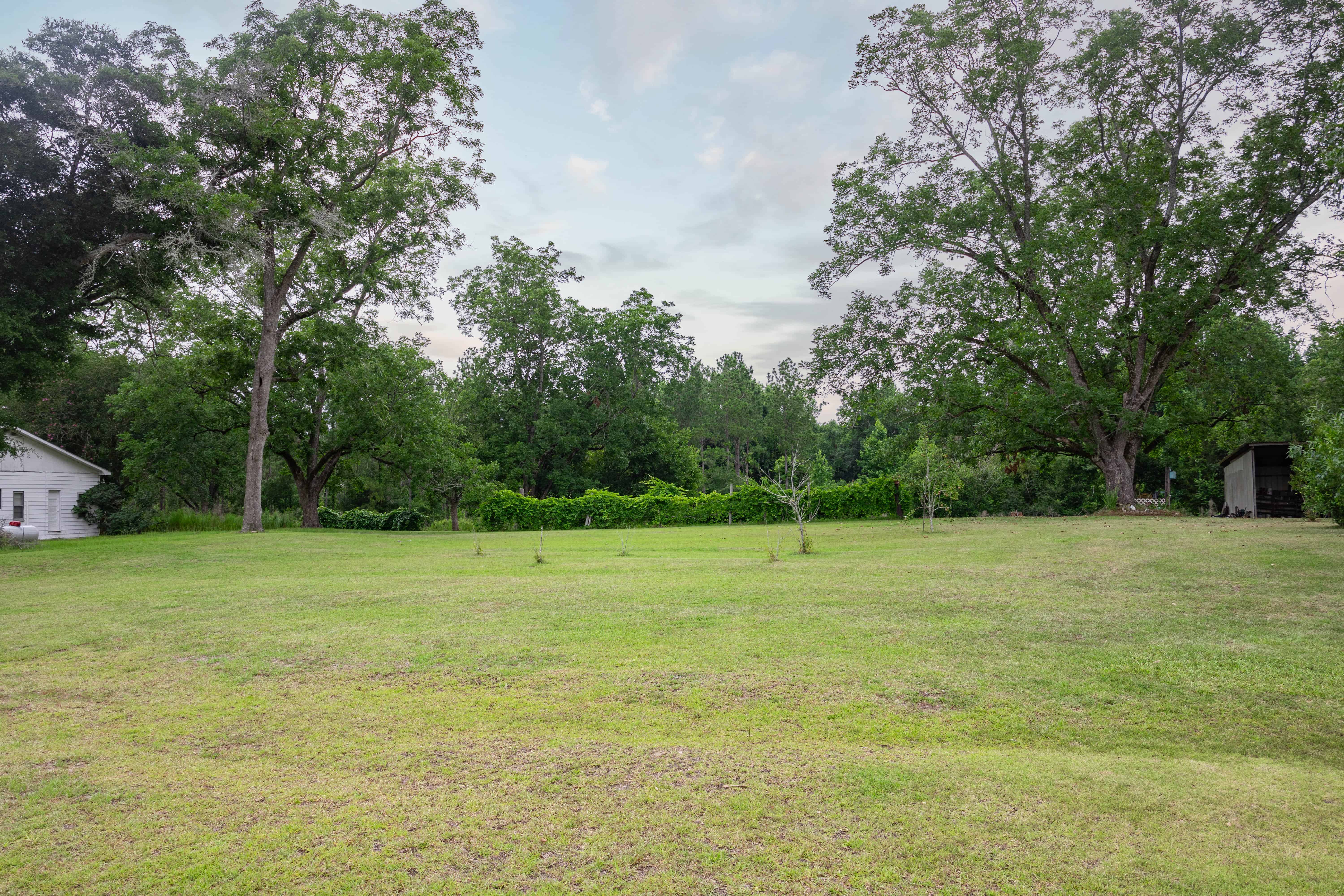 County Road 117 Ariton AL 36311