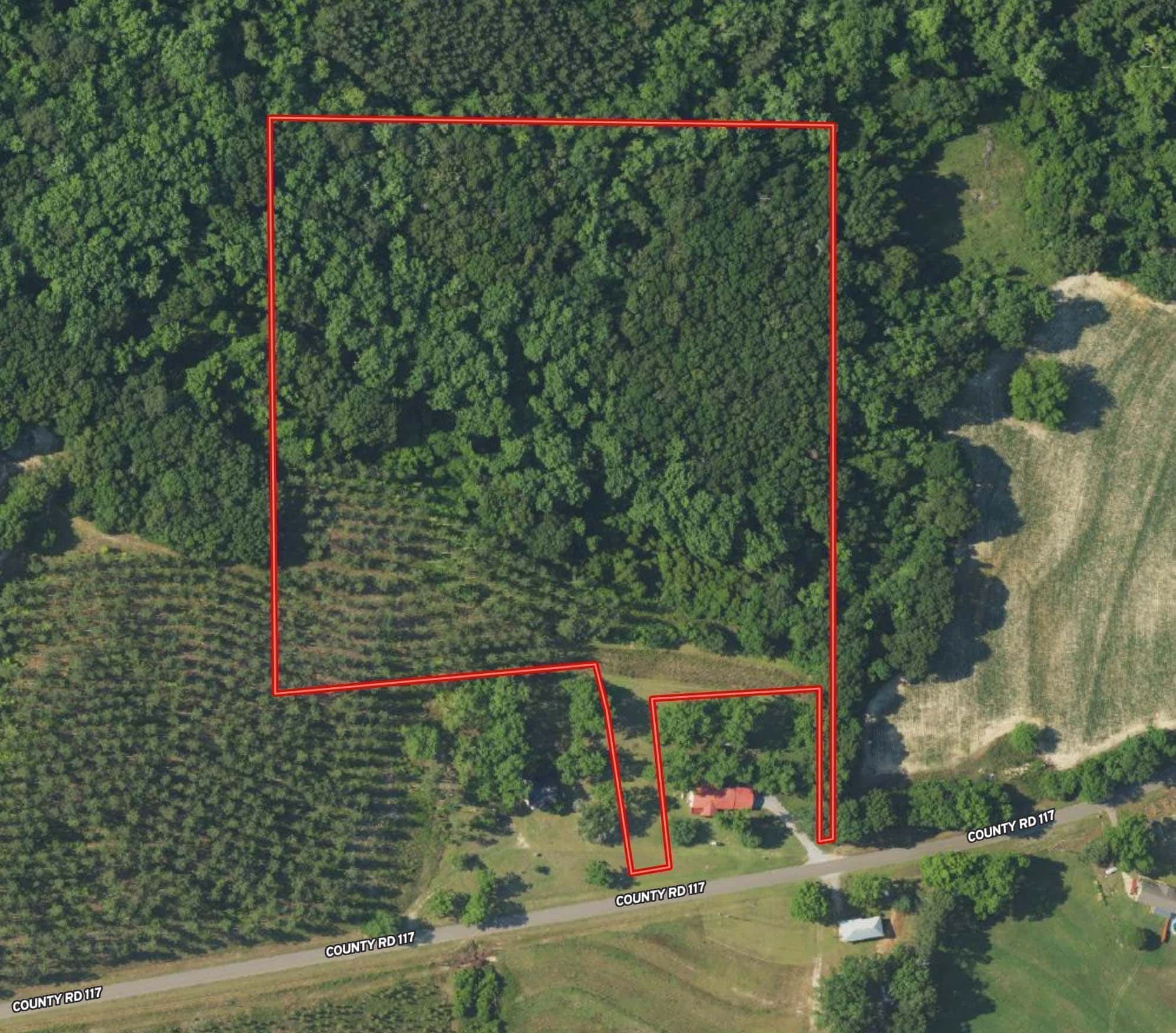 County Road 117 Ariton AL 36311