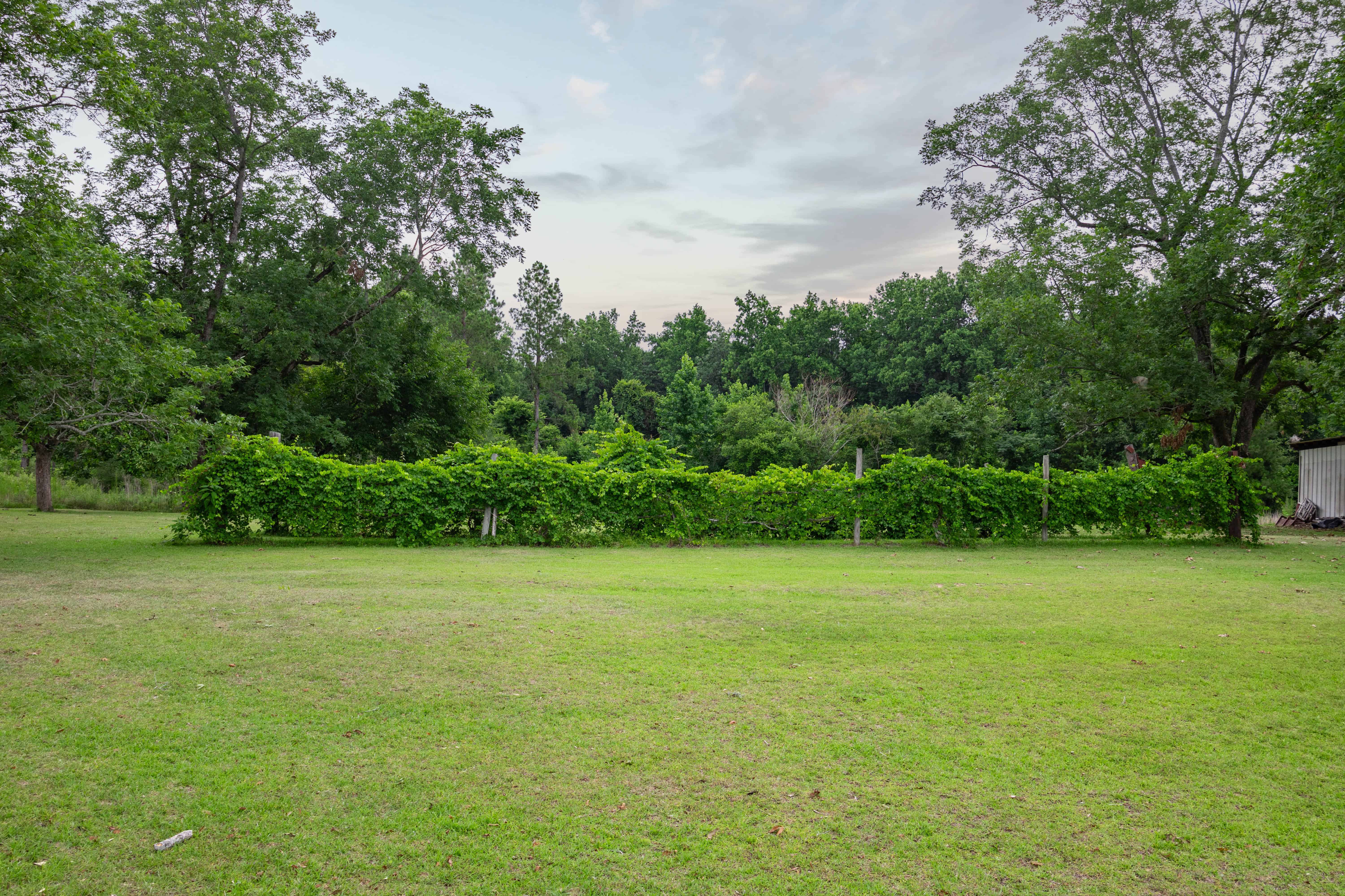 County Road 117 Ariton AL 36311