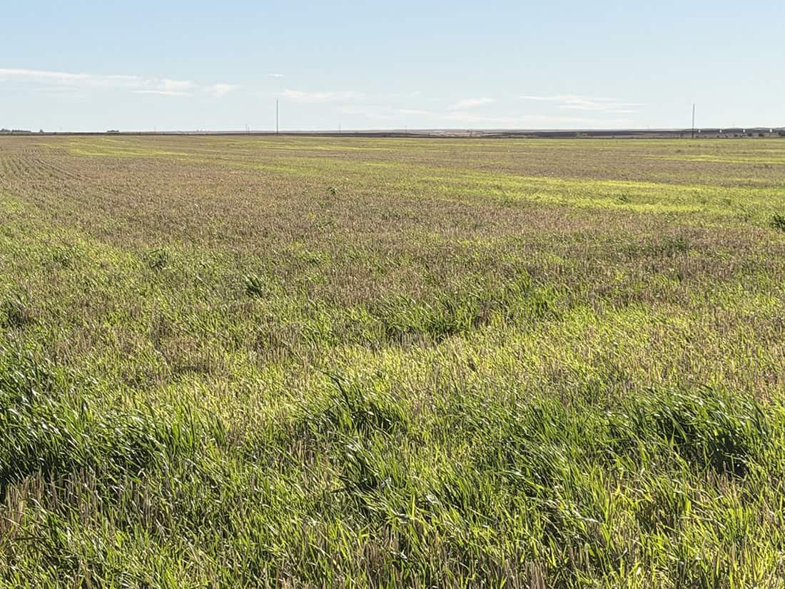 Taber MD AB
