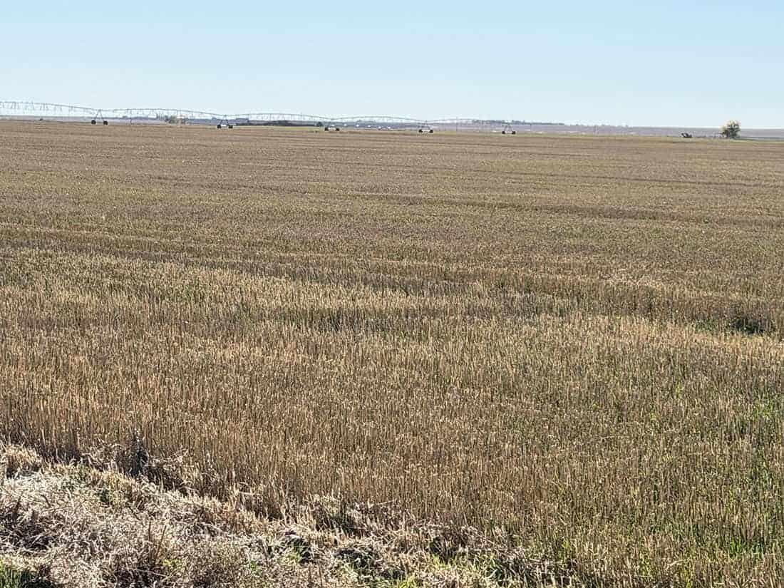 Taber MD AB
