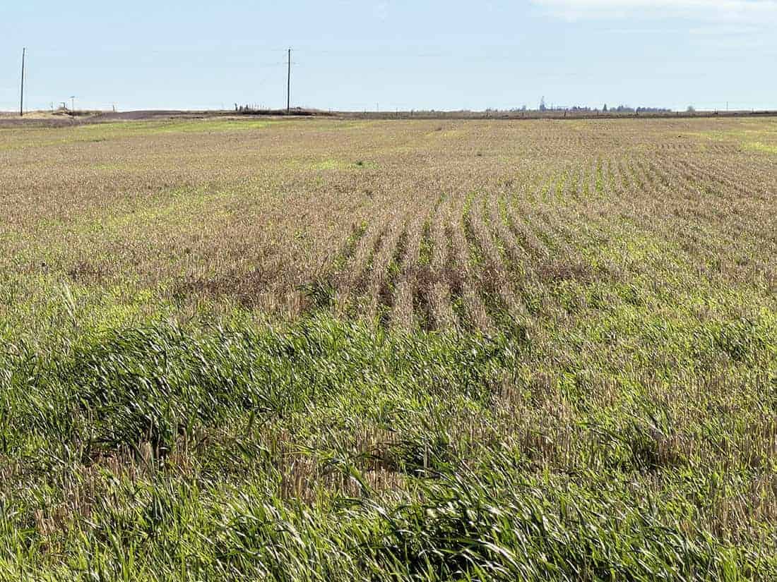Taber MD AB