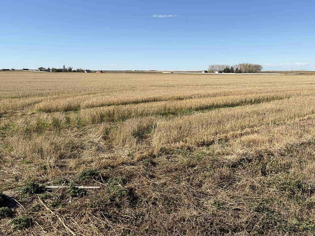 Taber MD AB