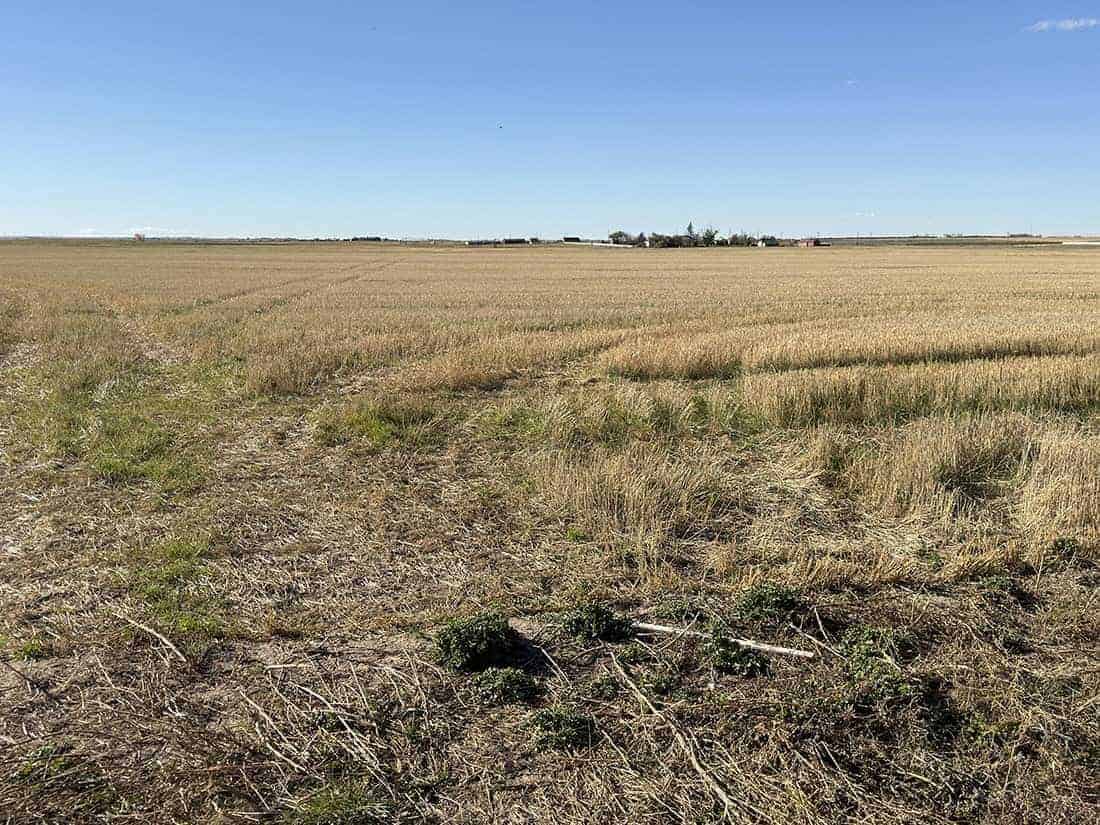 Taber MD AB