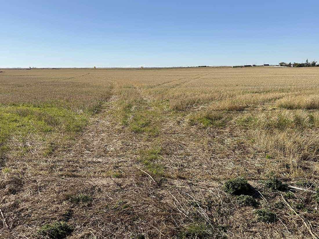 Taber MD AB