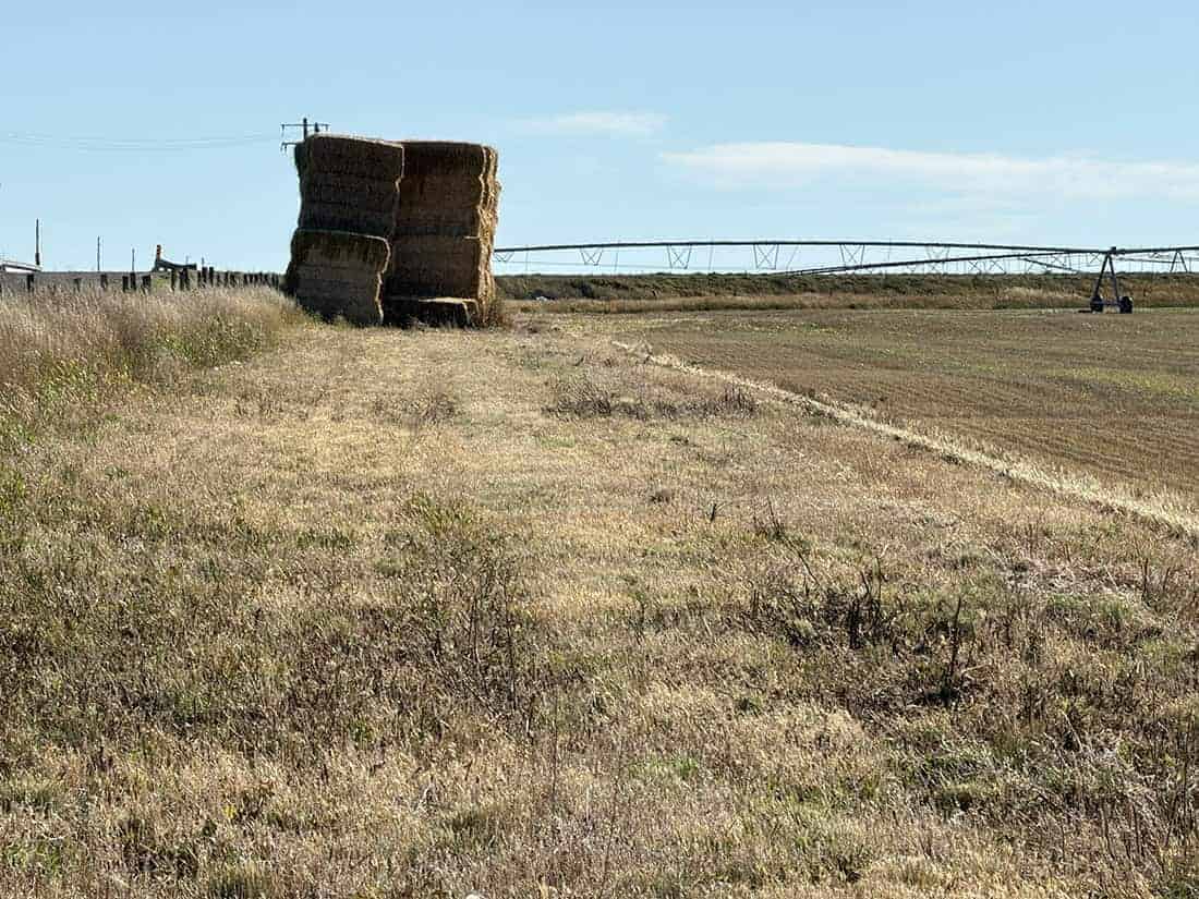 Taber MD AB