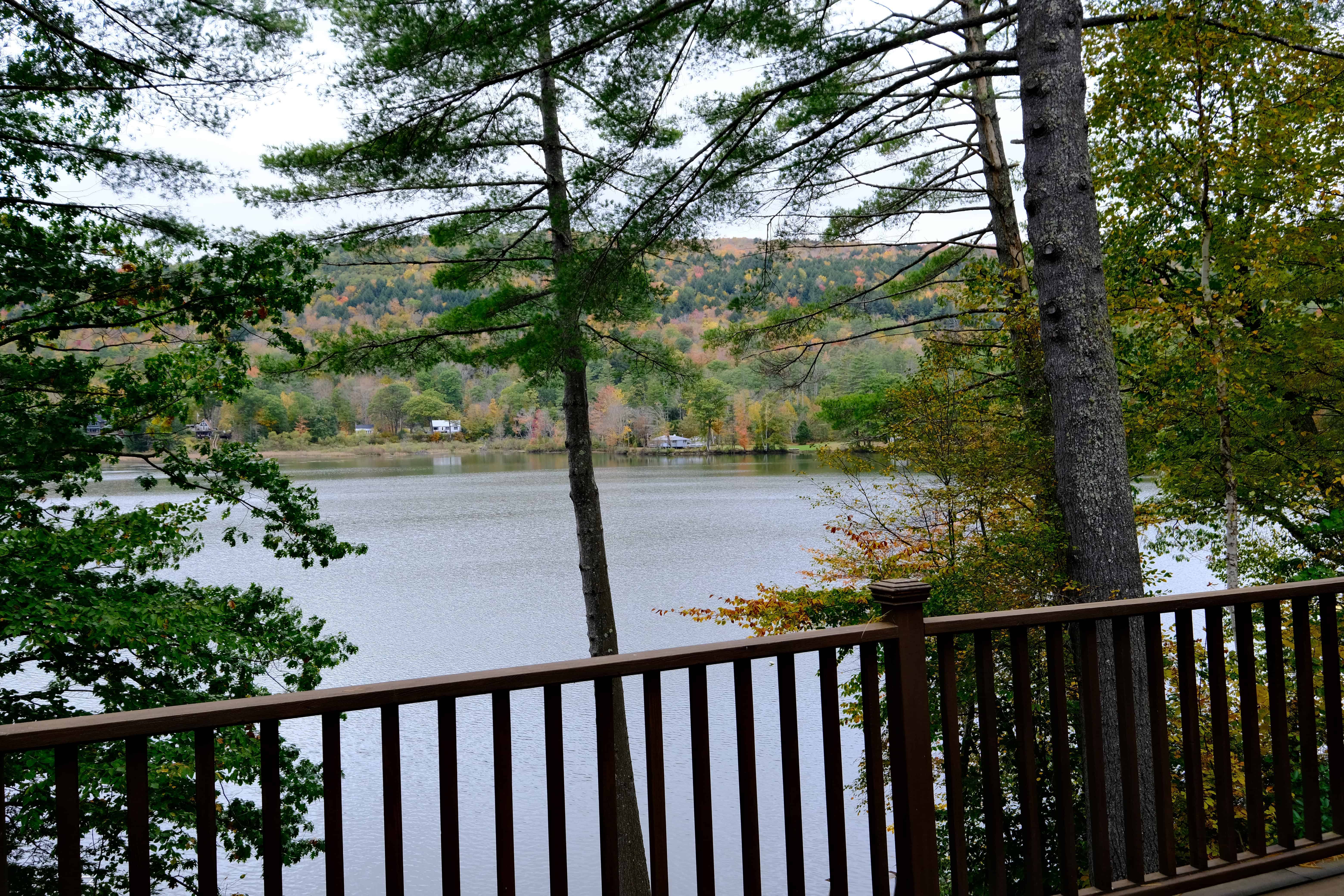 Ludlow VT 05149