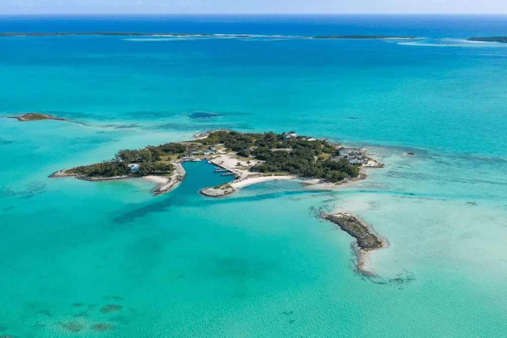 Crown Pigeon Island & Cays Eleuthera BS