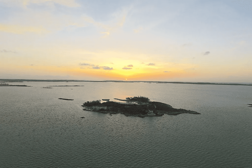 Crown Pigeon Island & Cays Eleuthera BS