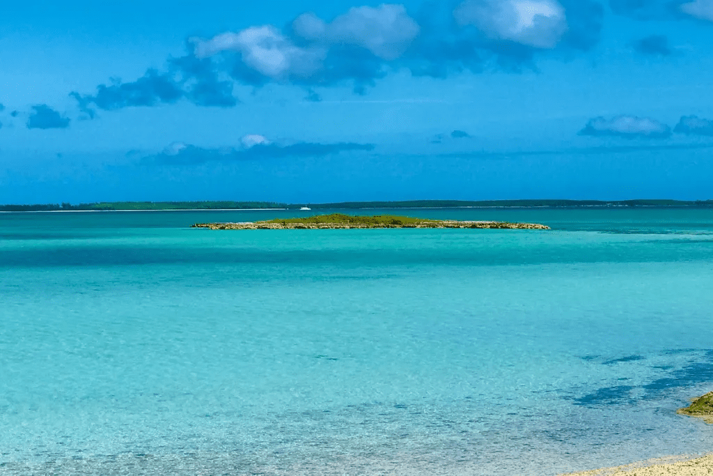 Crown Pigeon Island & Cays Eleuthera BS