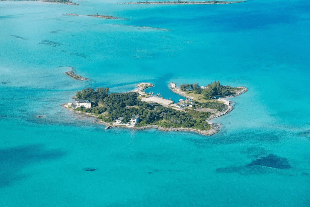 Crown Pigeon Island & Cays Eleuthera BS