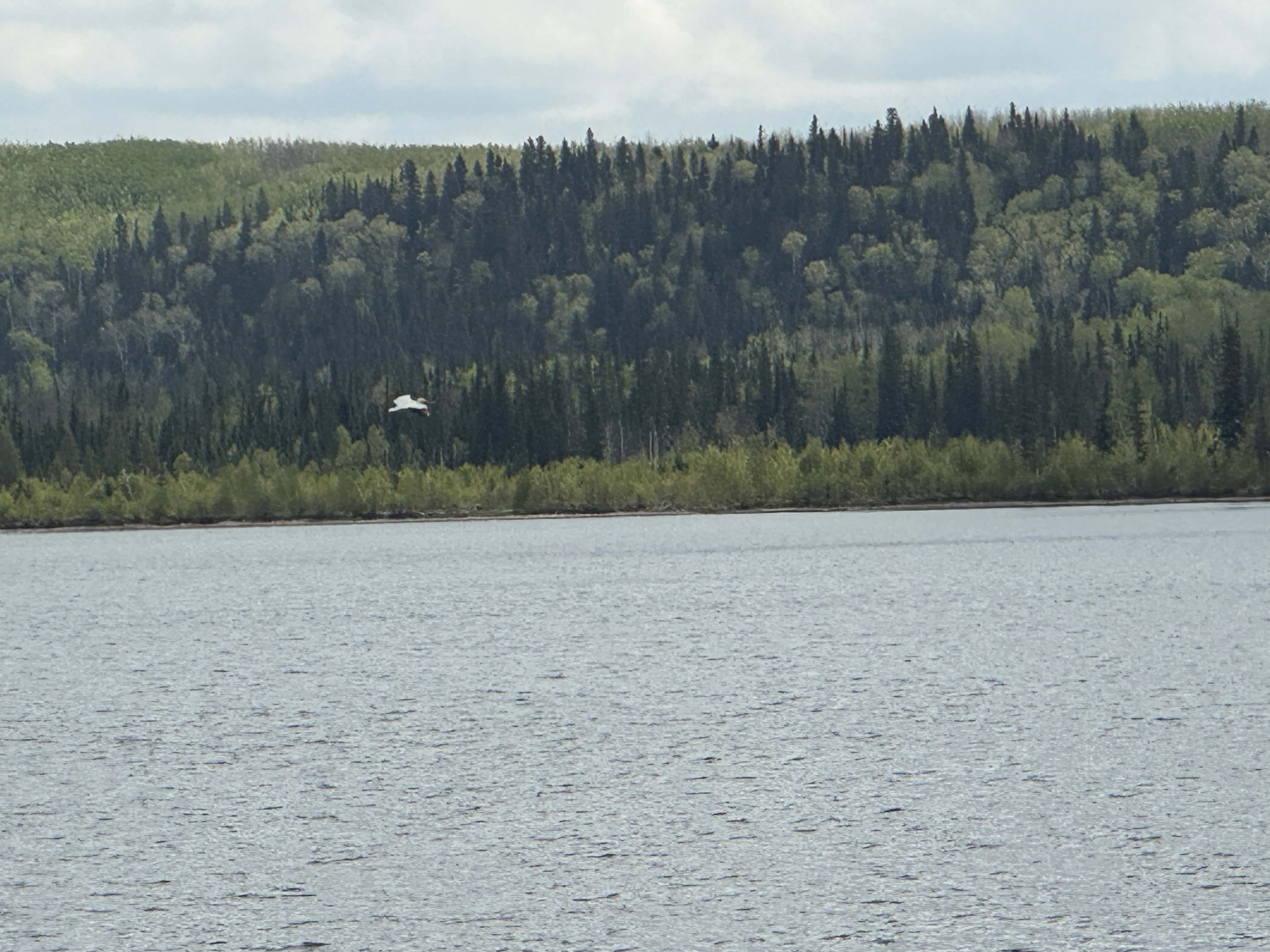 Dore Lake SK S0M 1B0