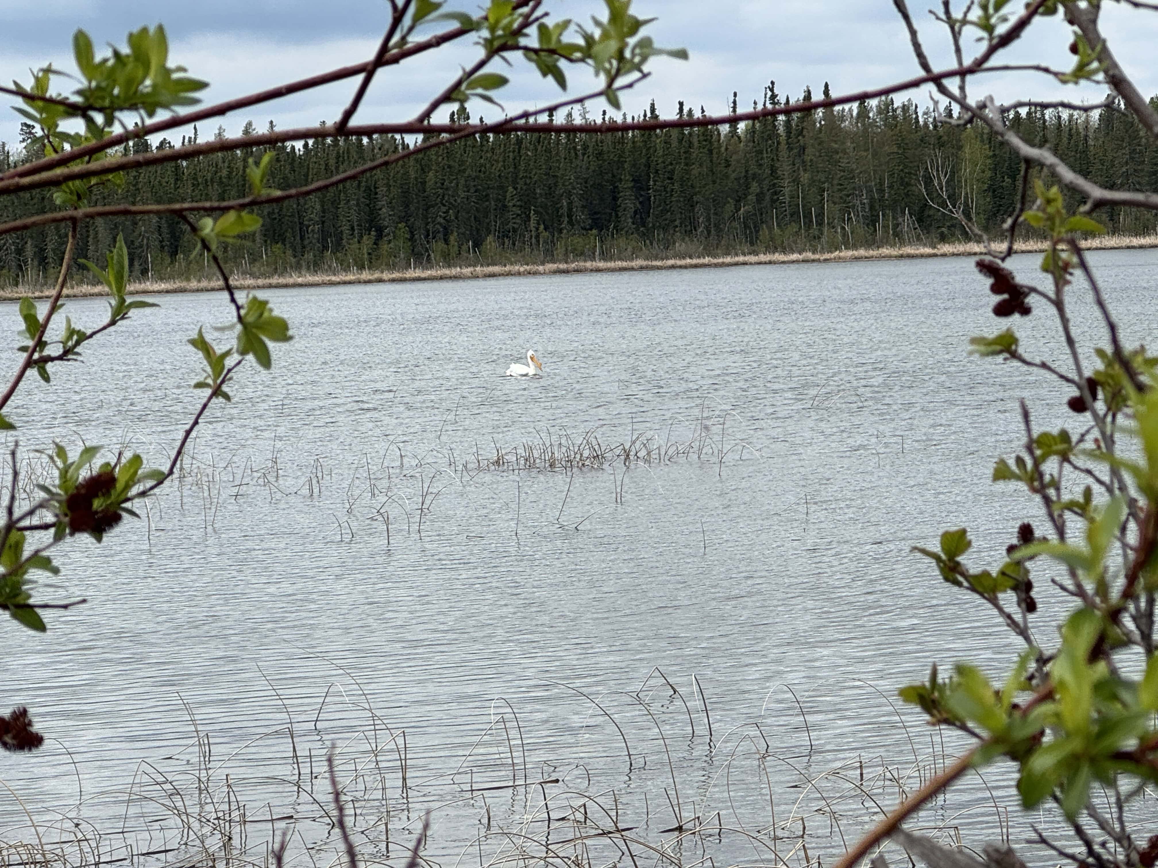 Dore Lake SK S0M 1B0