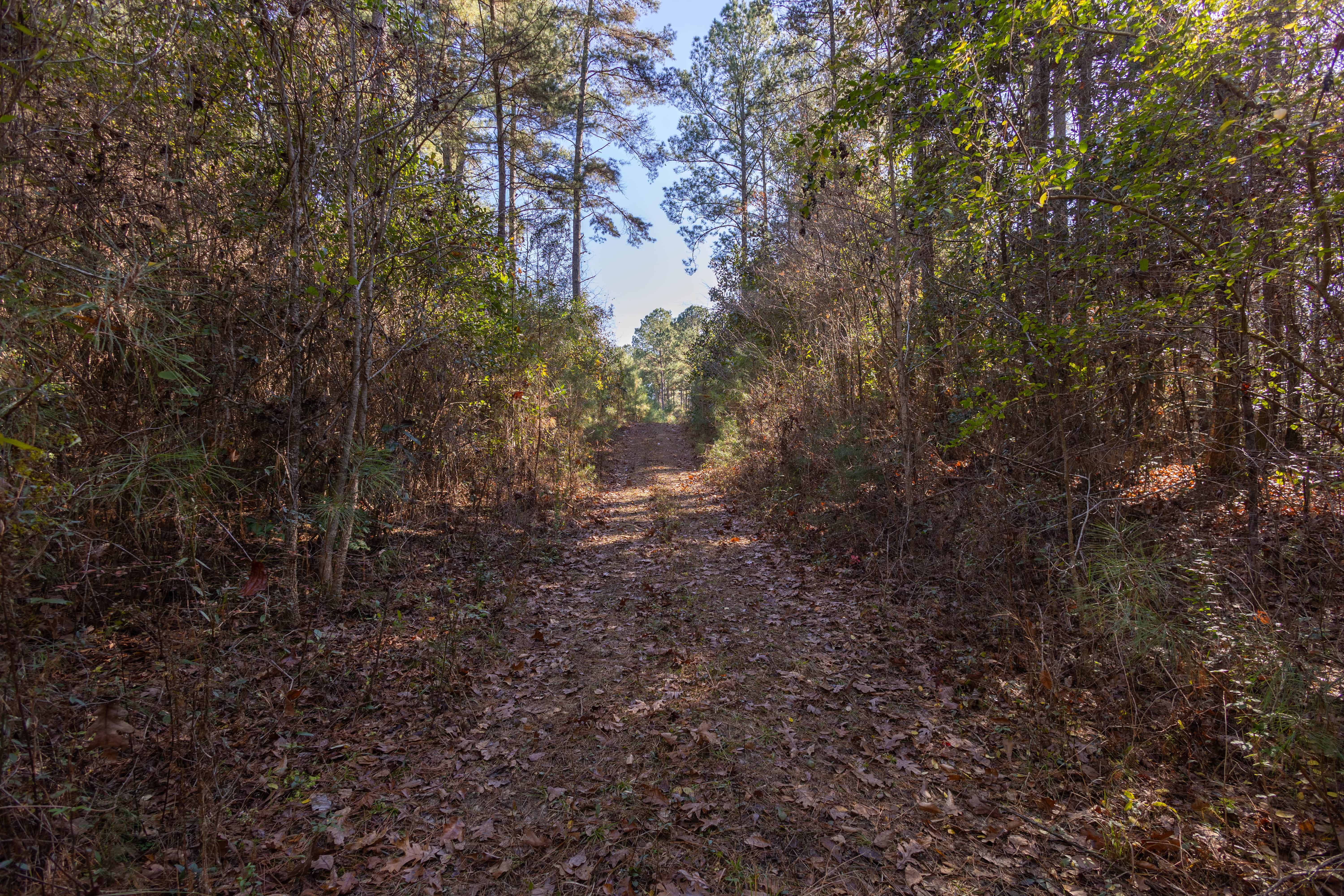 County Road 38 Ozark AL 36360