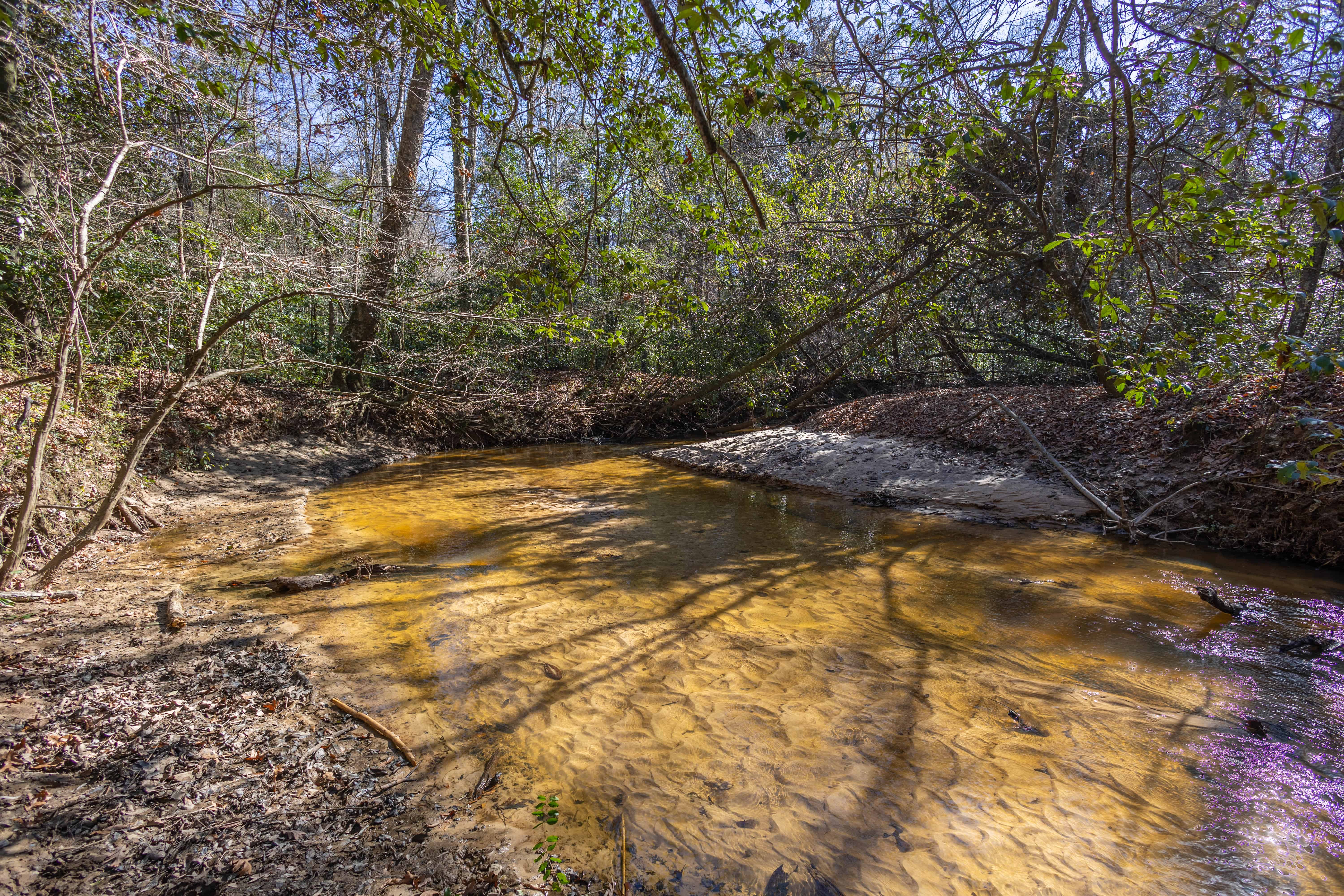 County Road 38 Ozark AL 36360