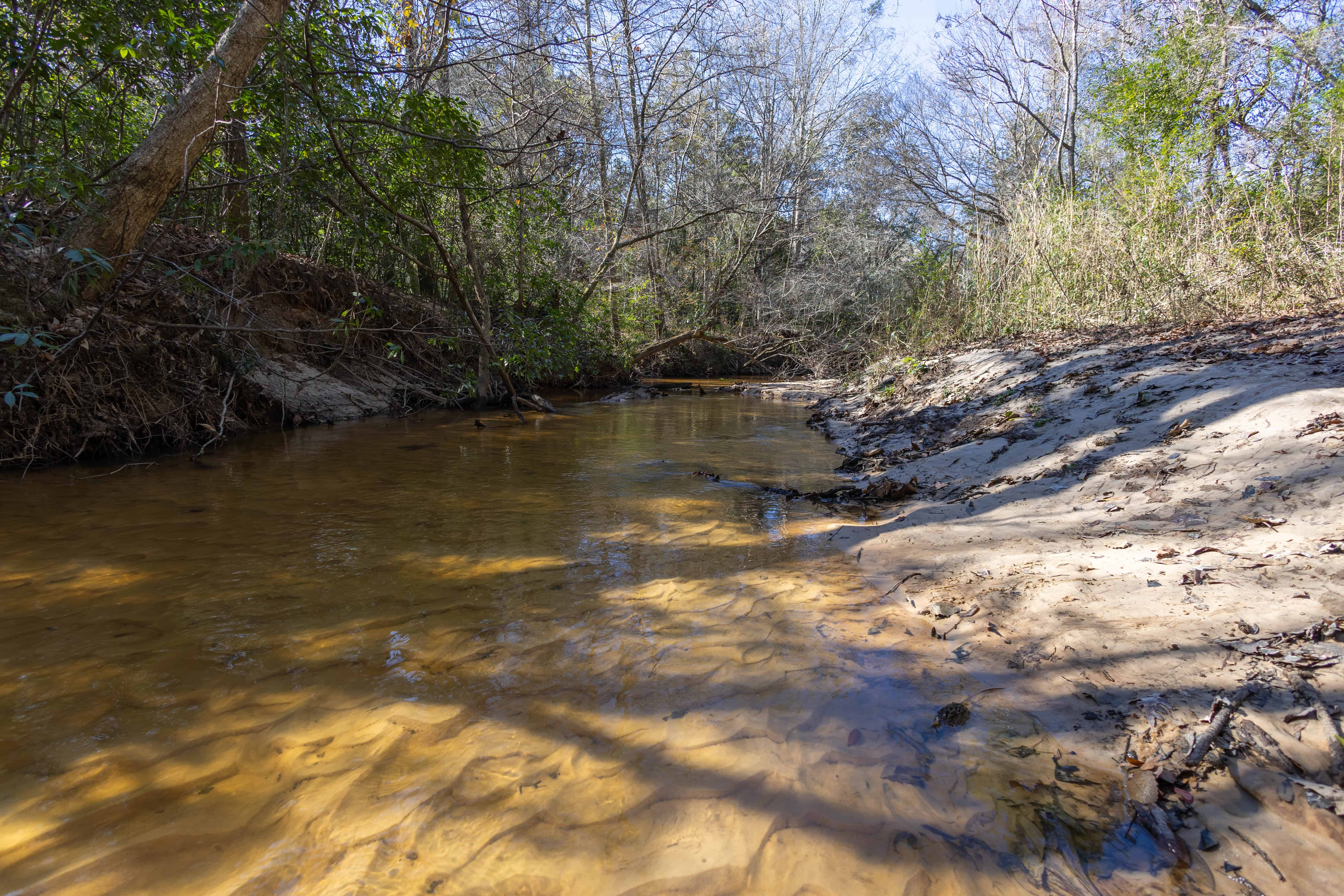 County Road 38 Ozark AL 36360