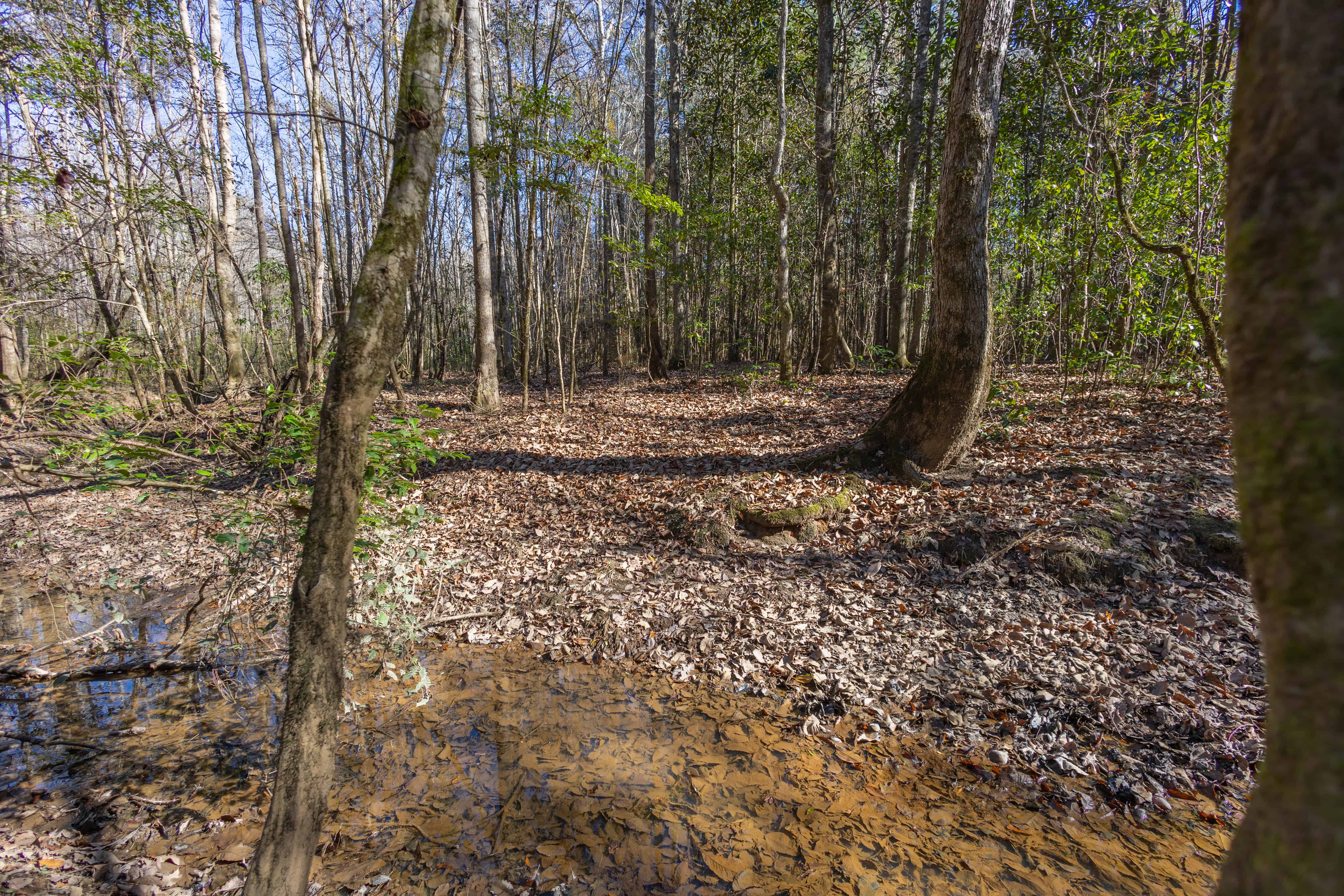 County Road 38 Ozark AL 36360