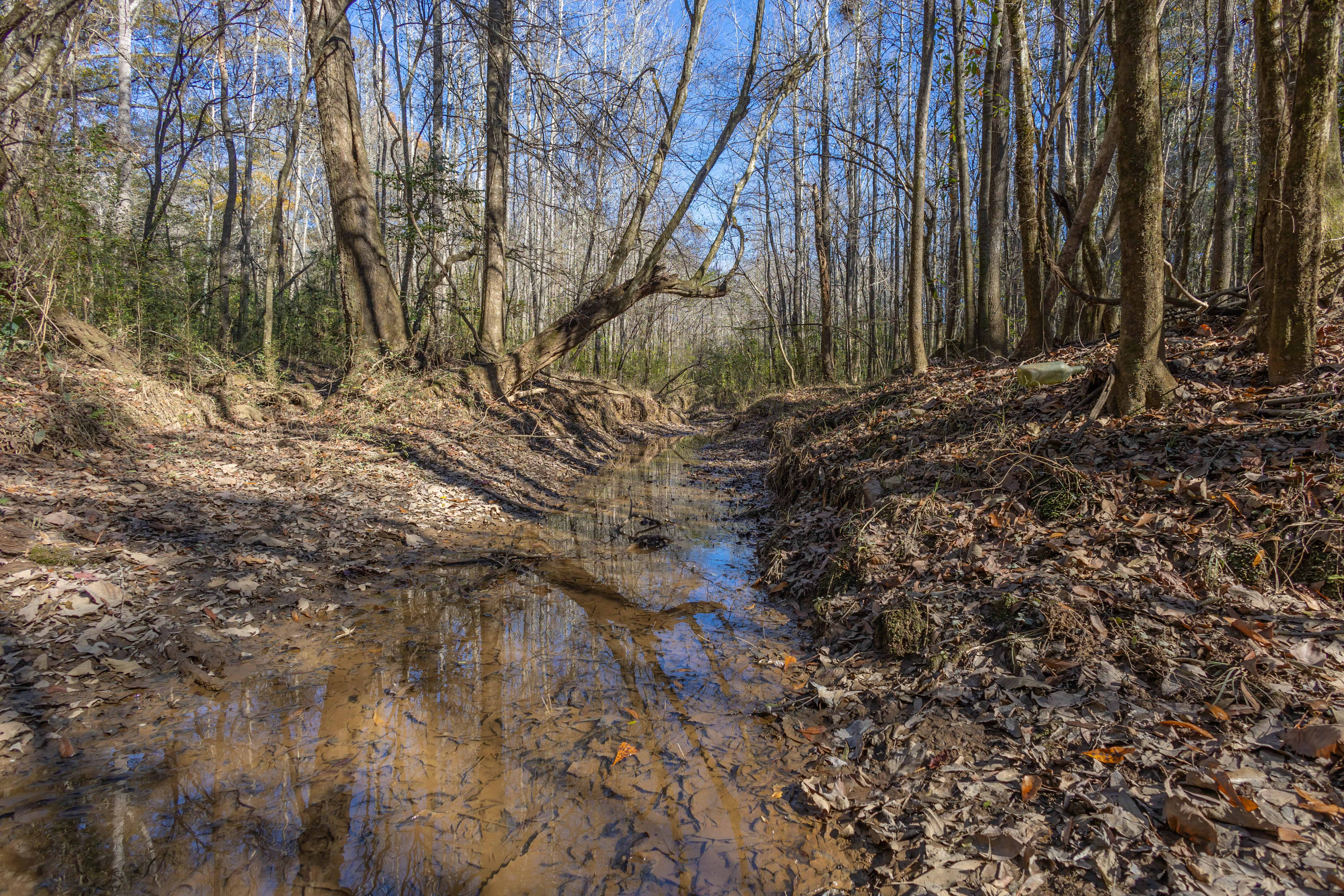 County Road 38 Ozark AL 36360