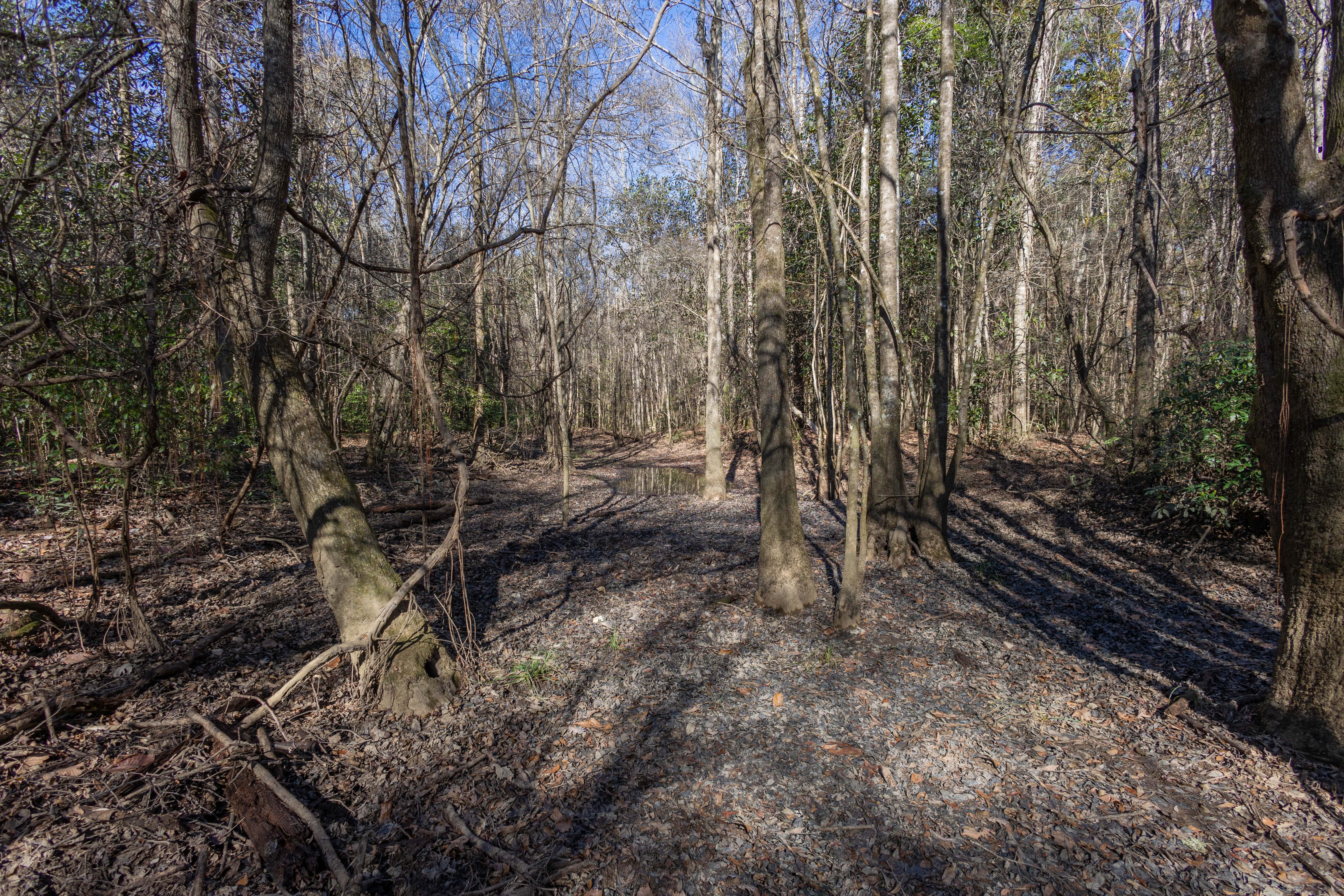 County Road 38 Ozark AL 36360