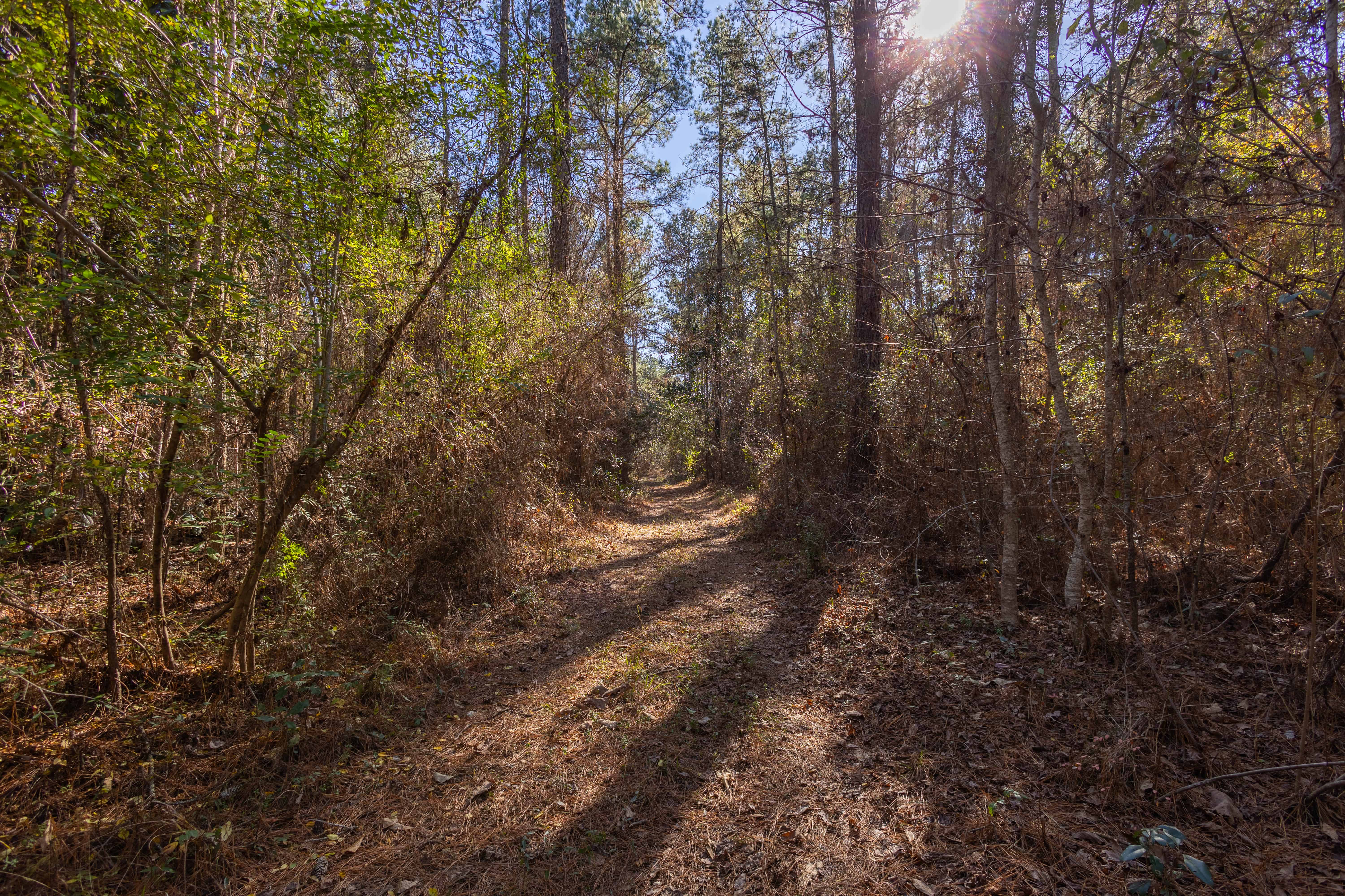 County Road 38 Ozark AL 36360