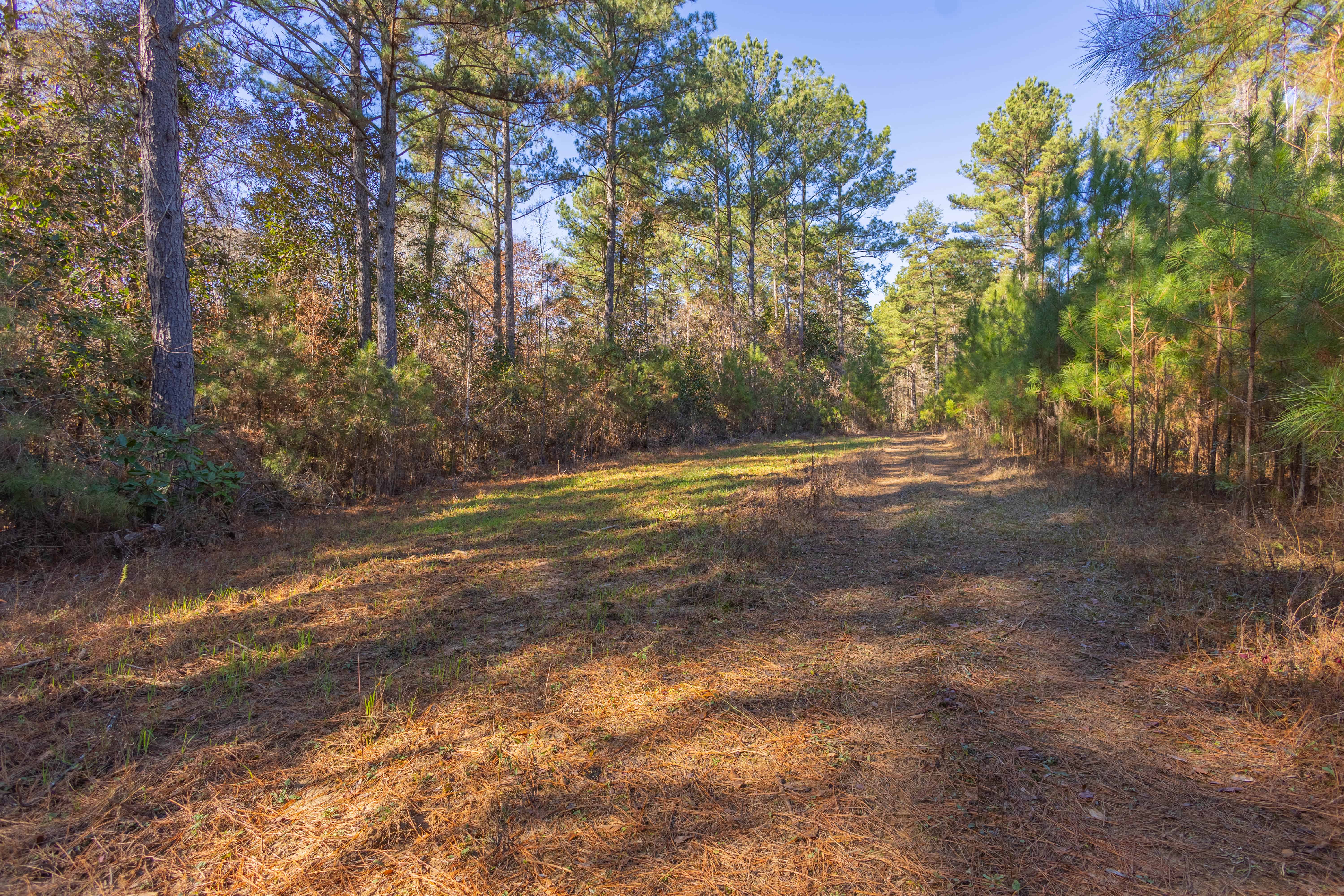 County Road 38 Ozark AL 36360