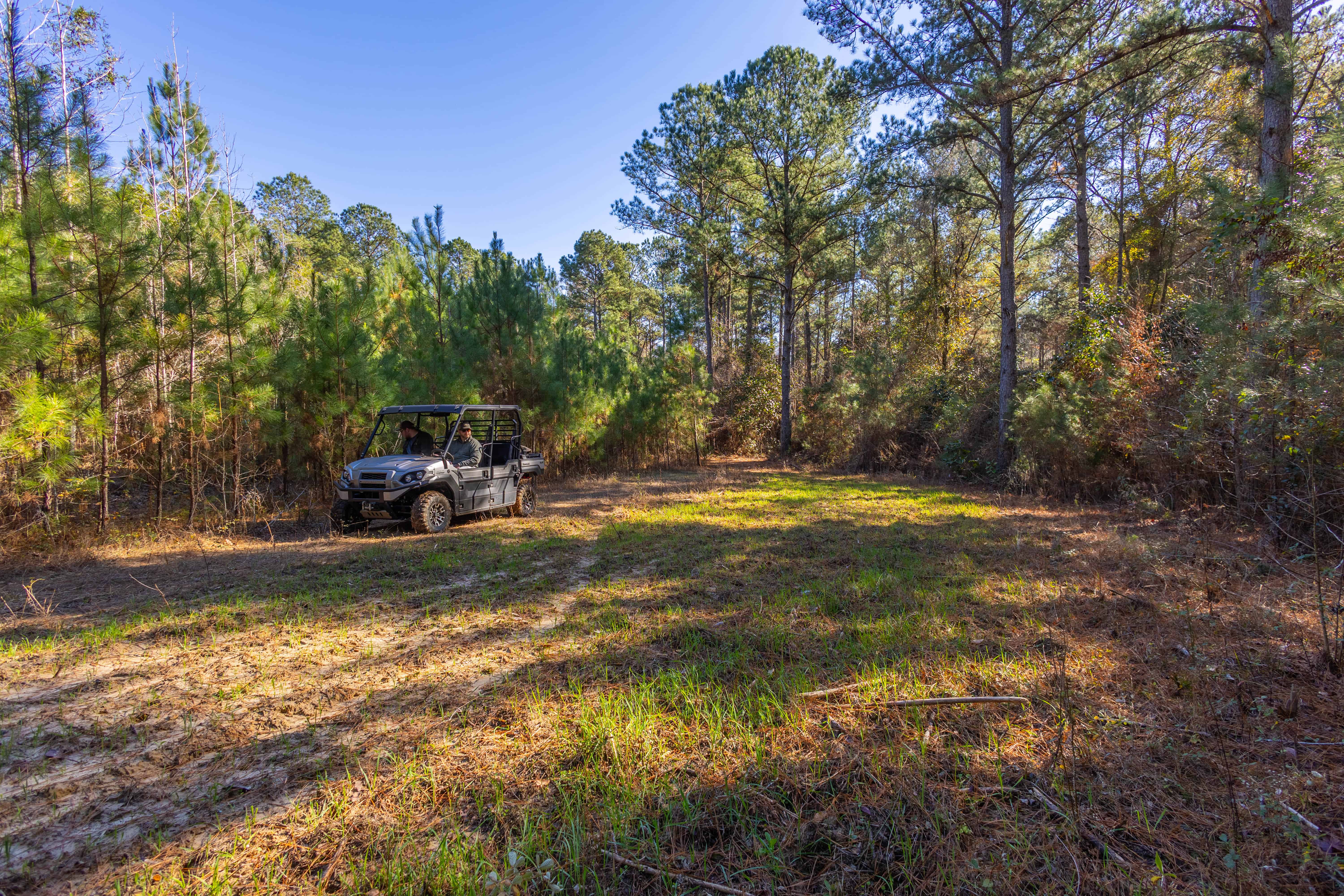 County Road 38 Ozark AL 36360