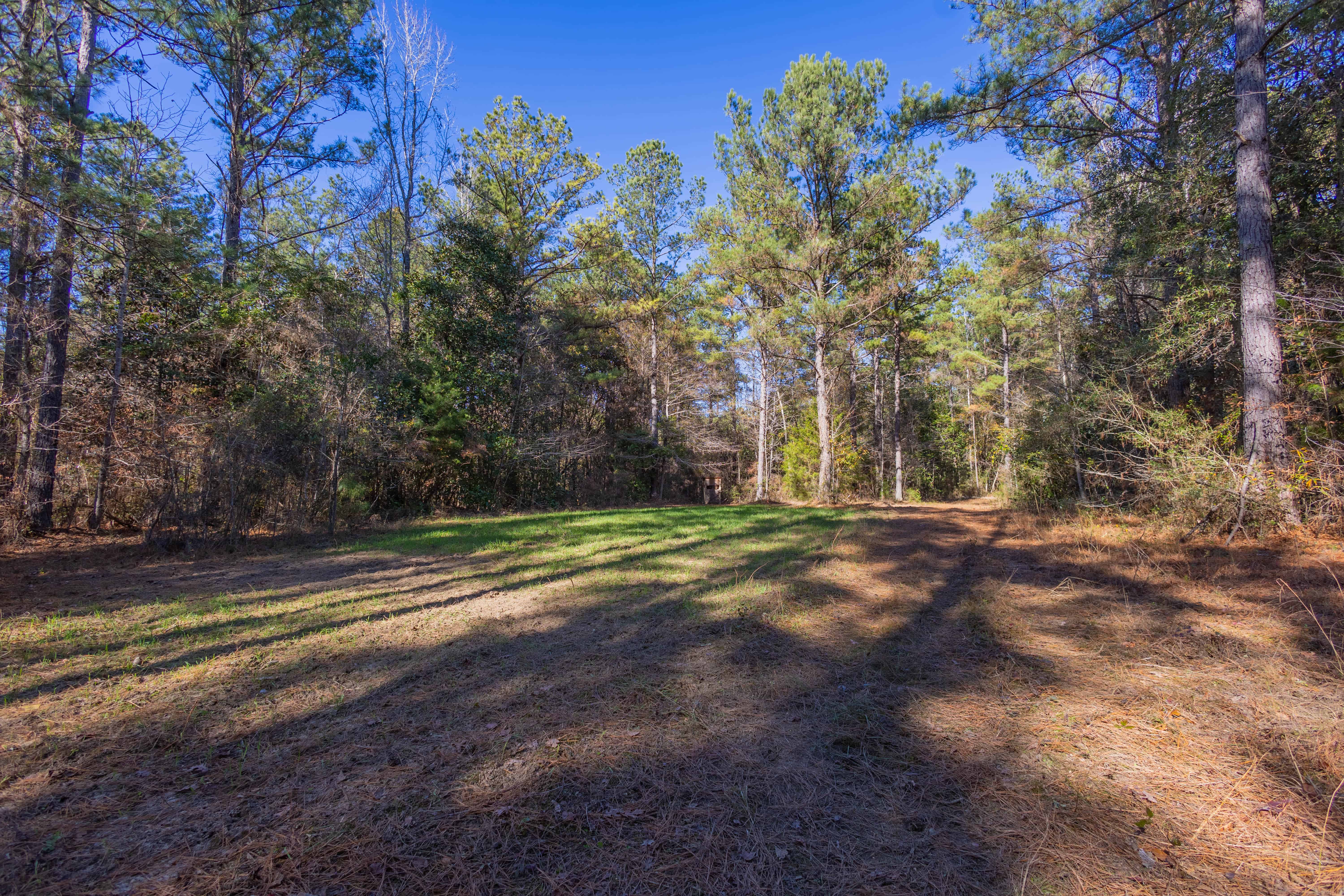 County Road 38 Ozark AL 36360