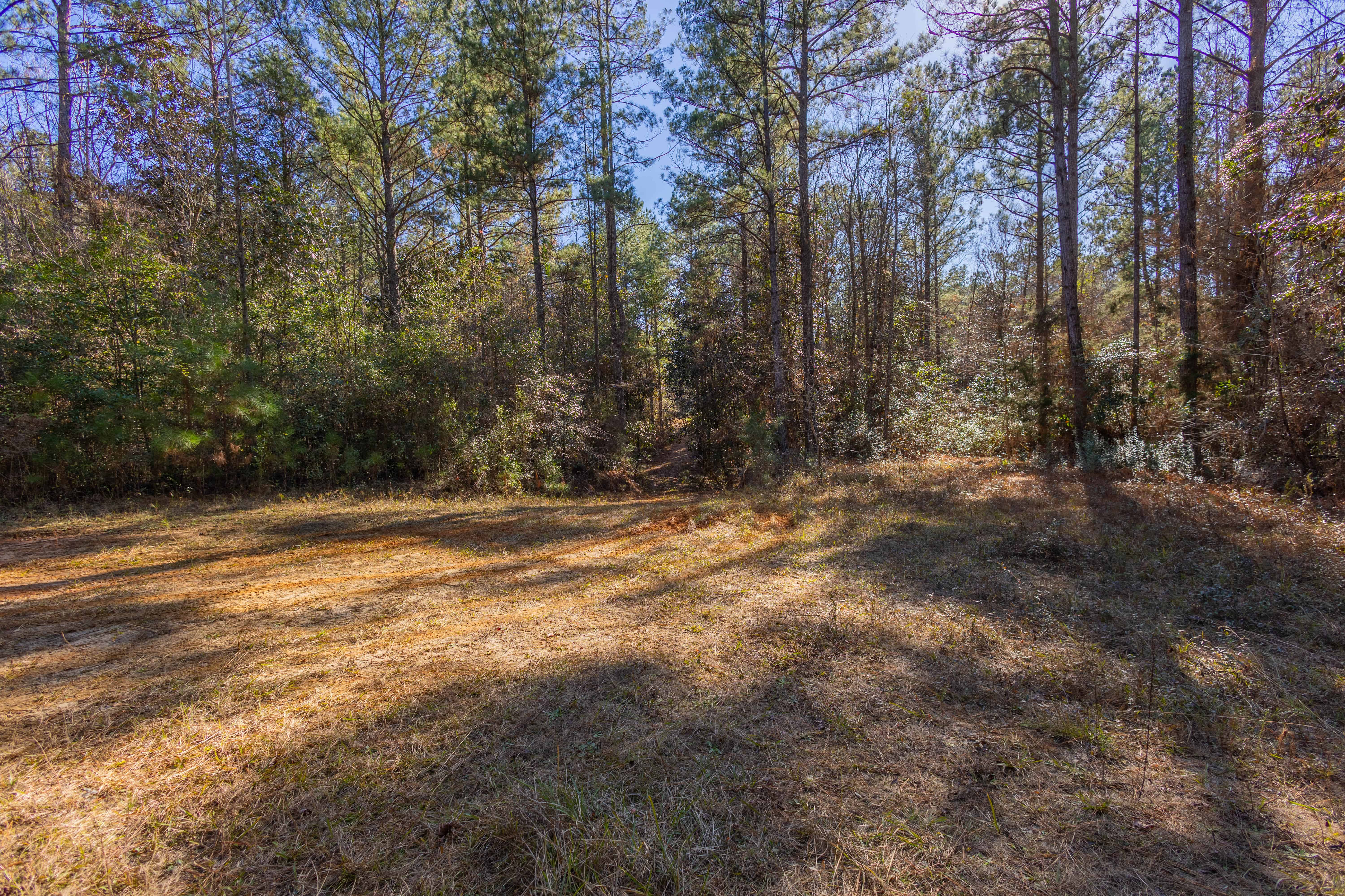 County Road 38 Ozark AL 36360