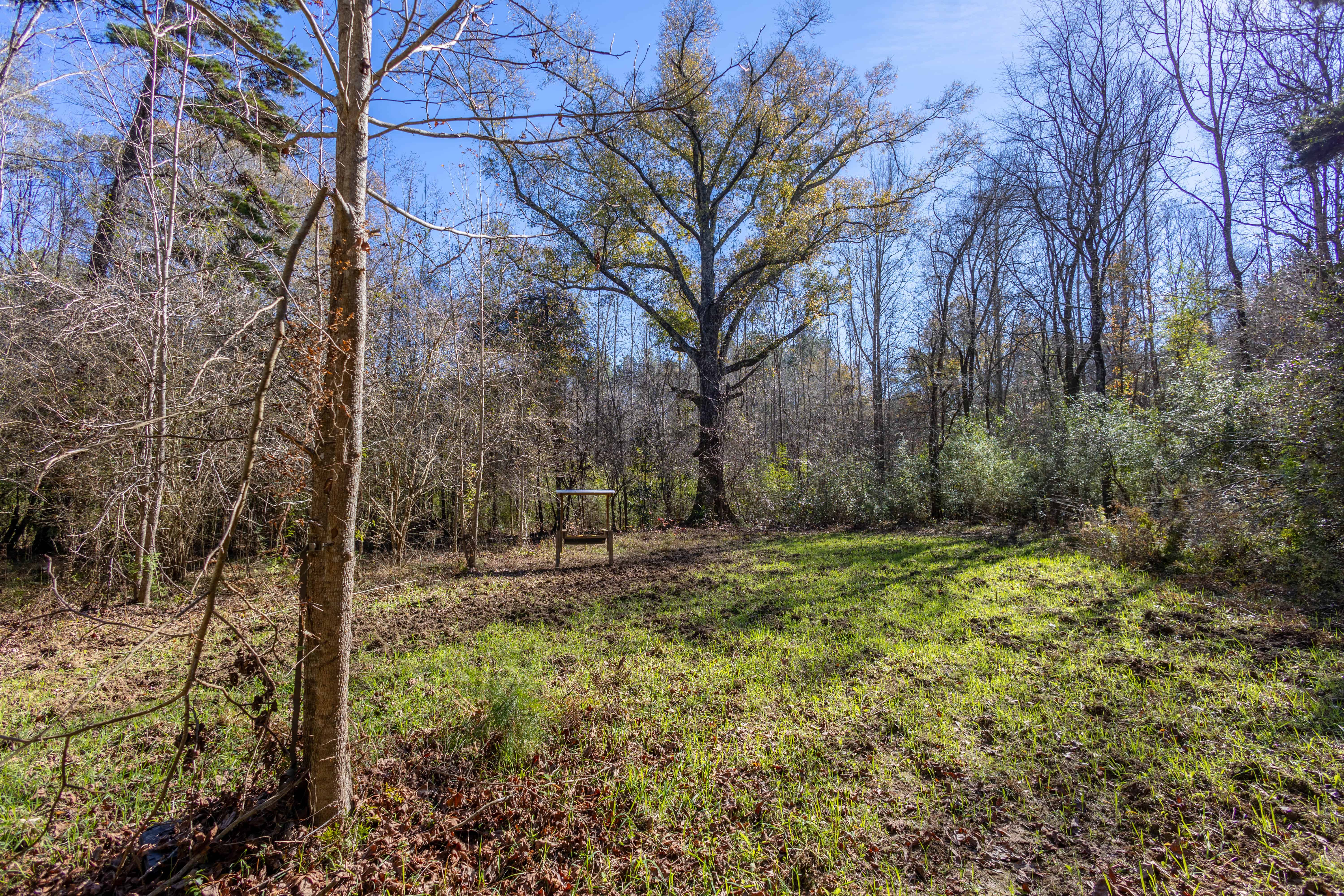 County Road 38 Ozark AL 36360