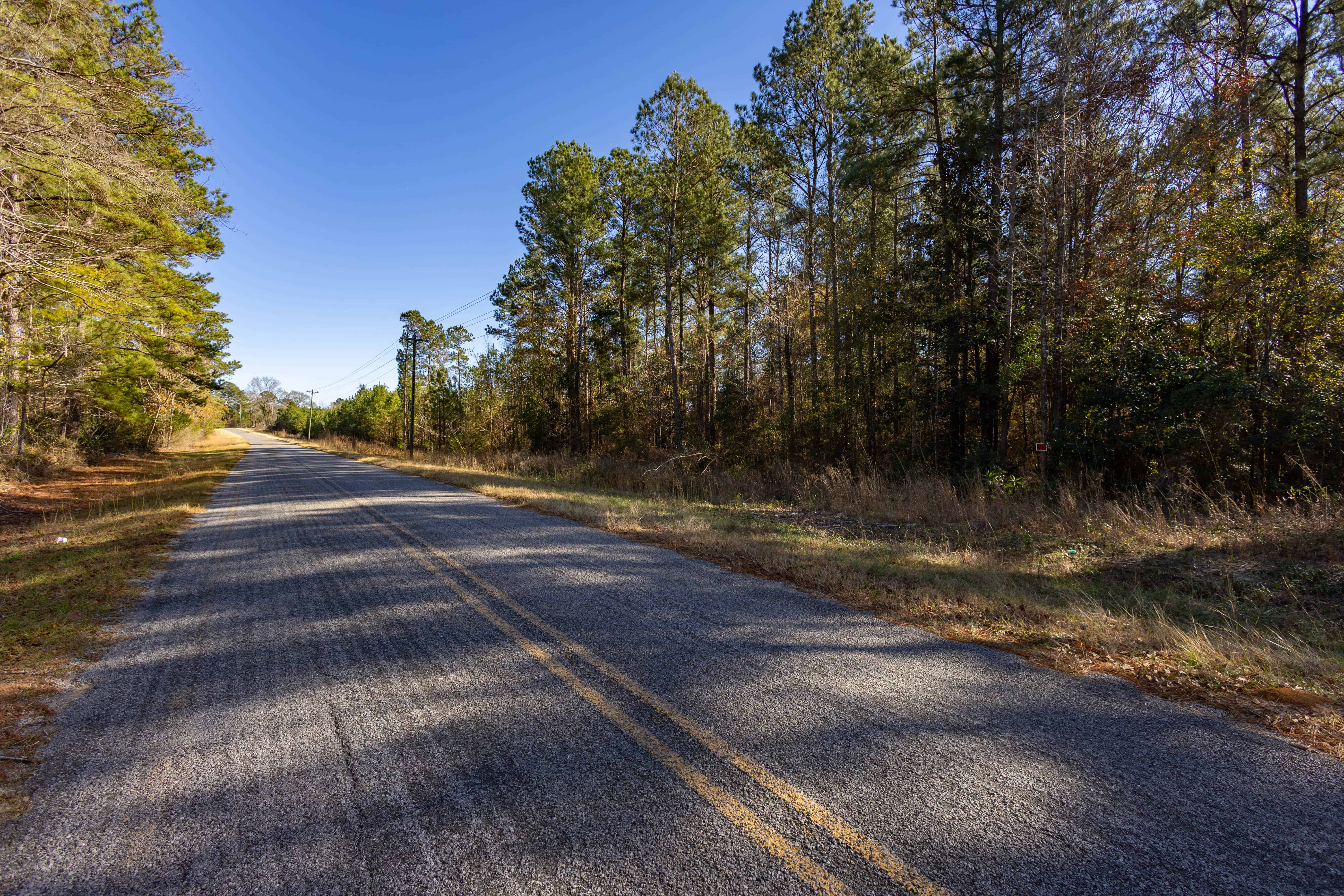 County Road 38 Ozark AL 36360