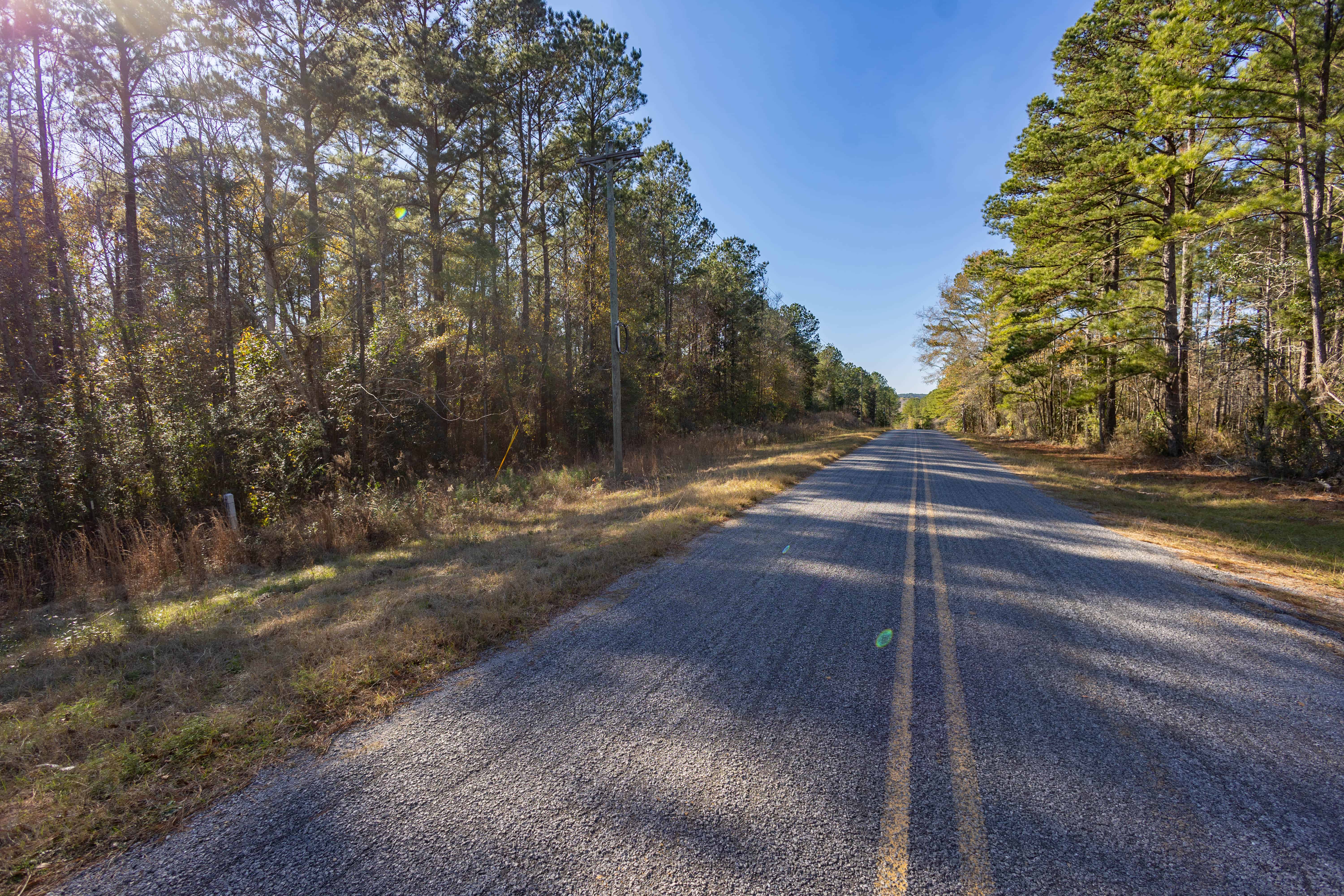 County Road 38 Ozark AL 36360