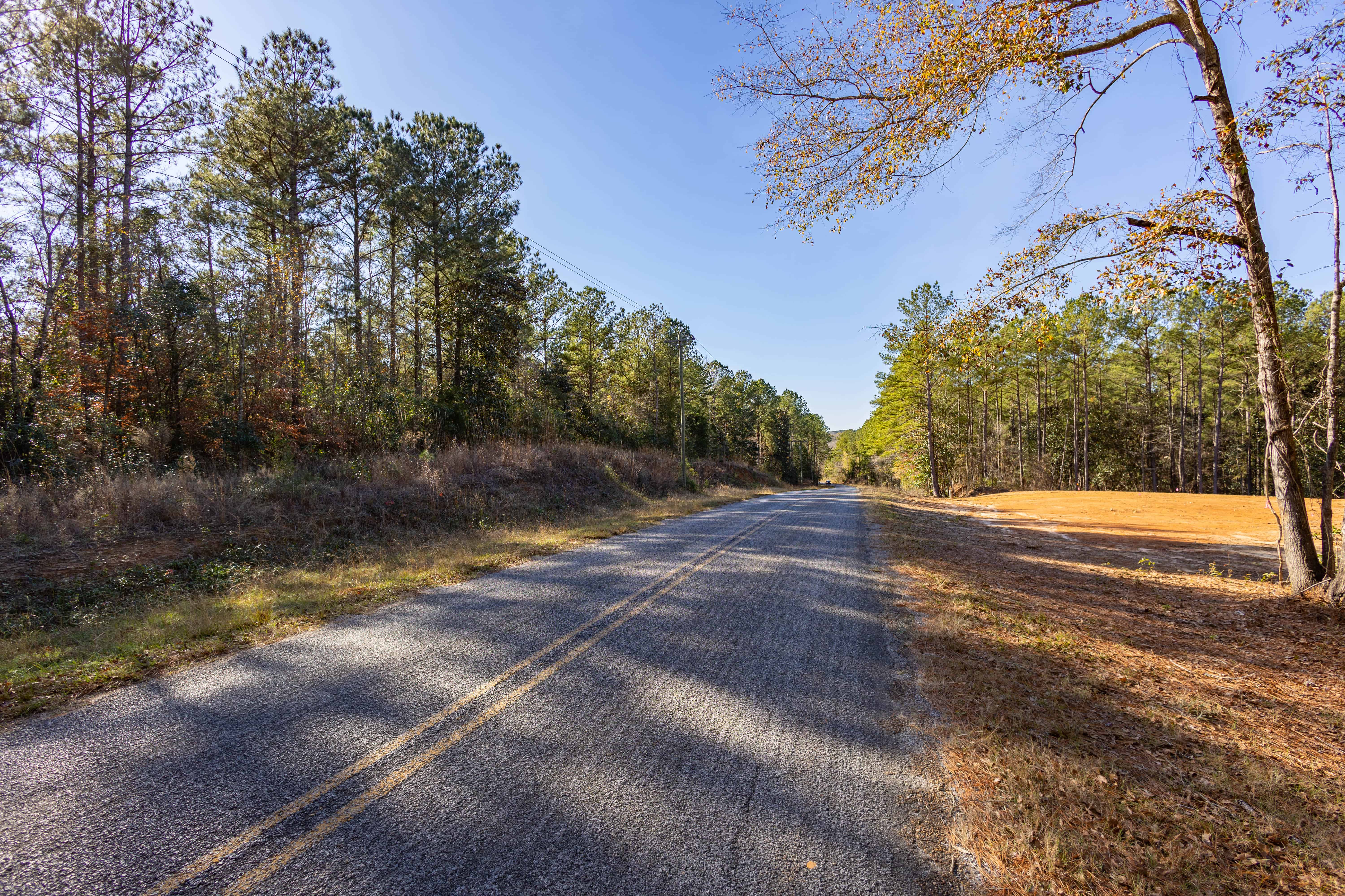 County Road 38 Ozark AL 36360