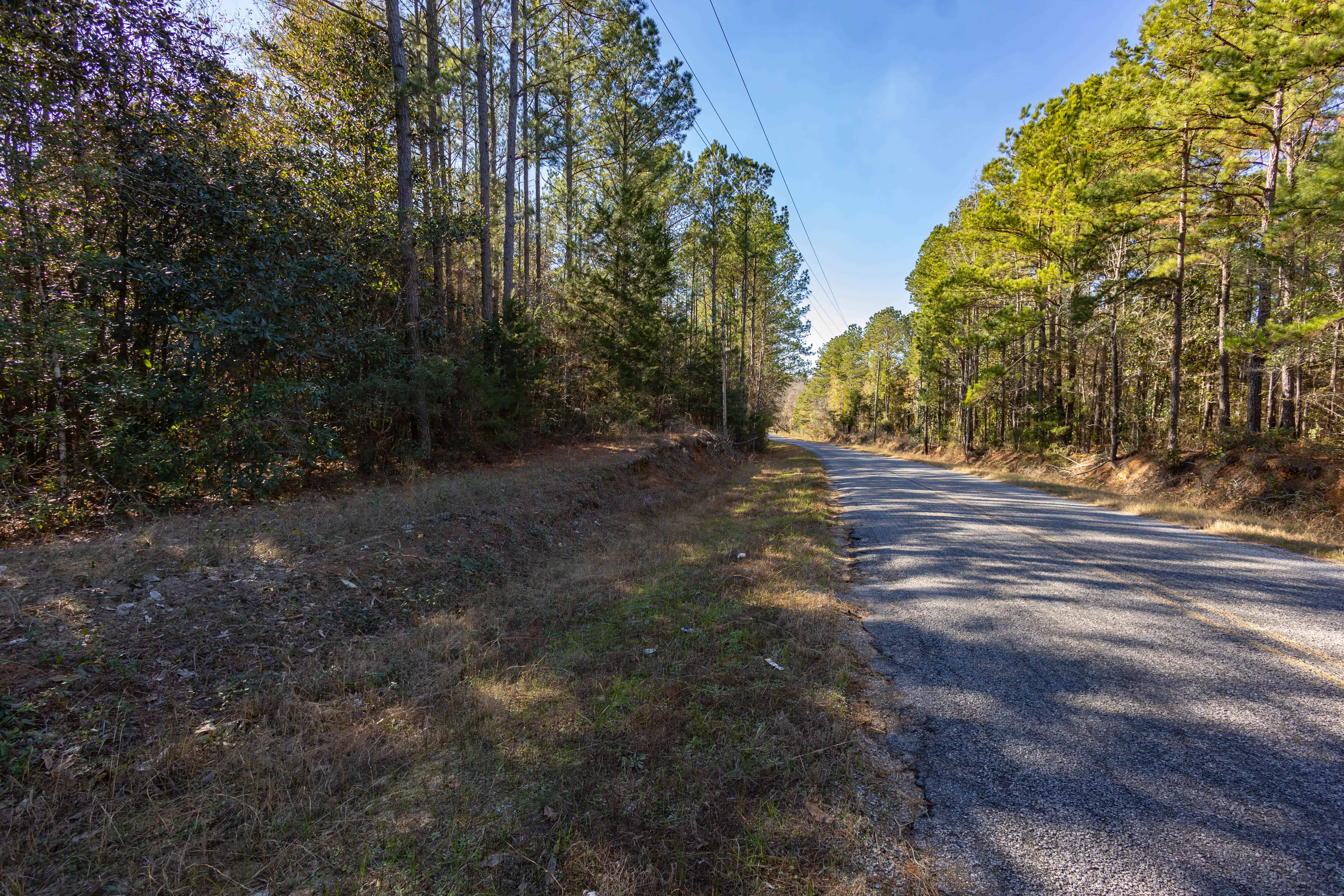 County Road 38 Ozark AL 36360