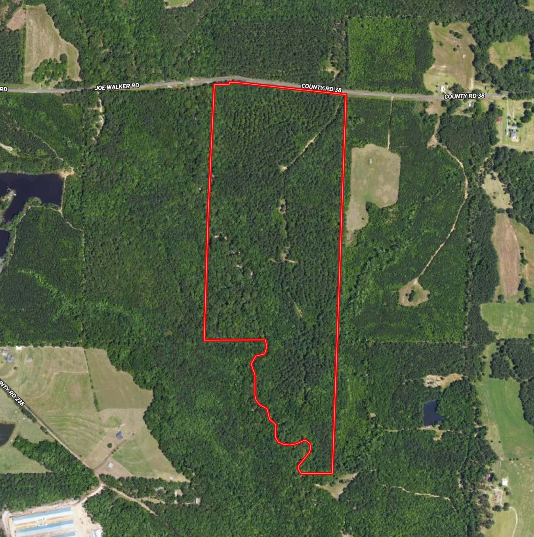 County Road 38 Ozark AL 36360