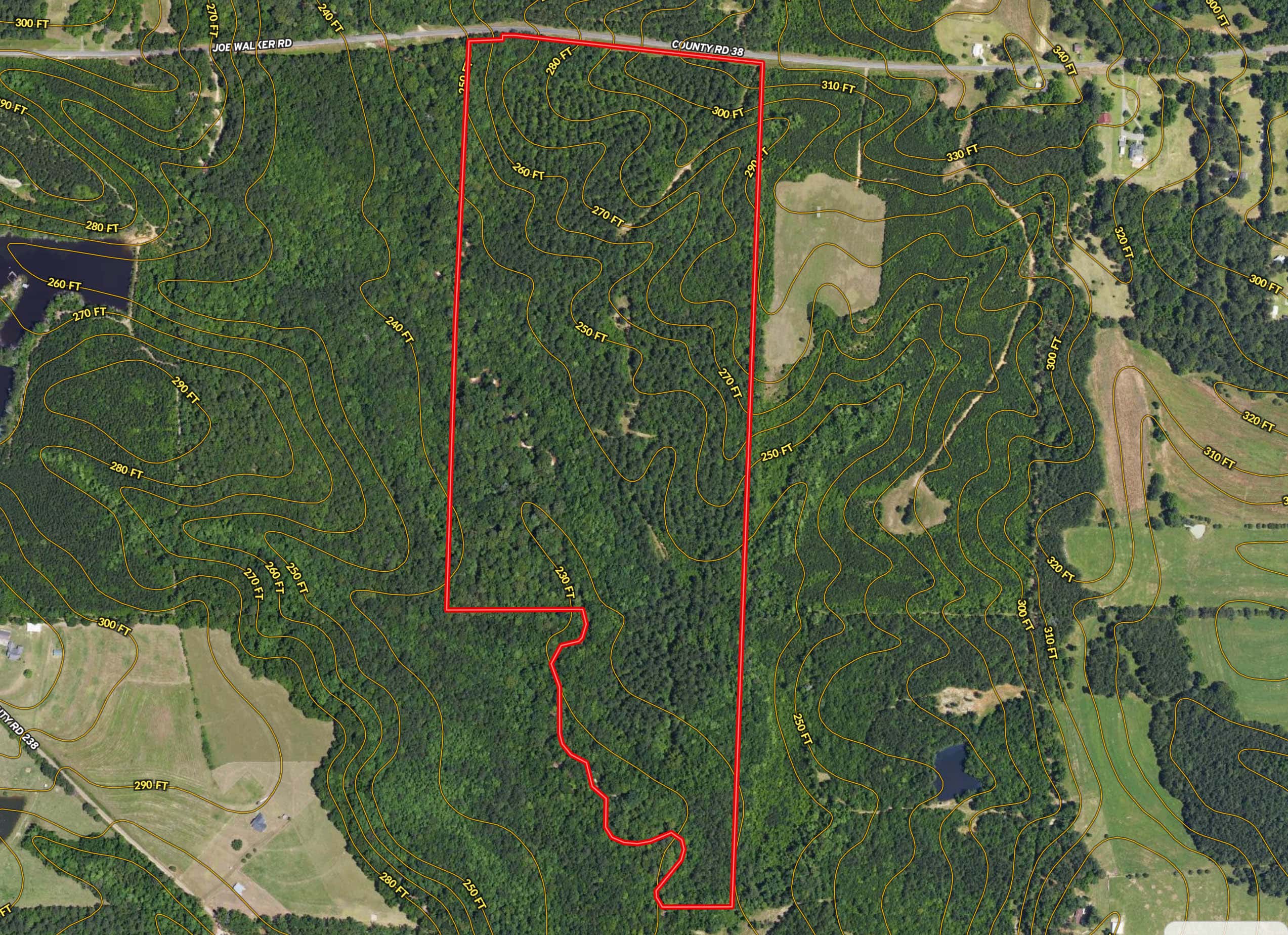 County Road 38 Ozark AL 36360