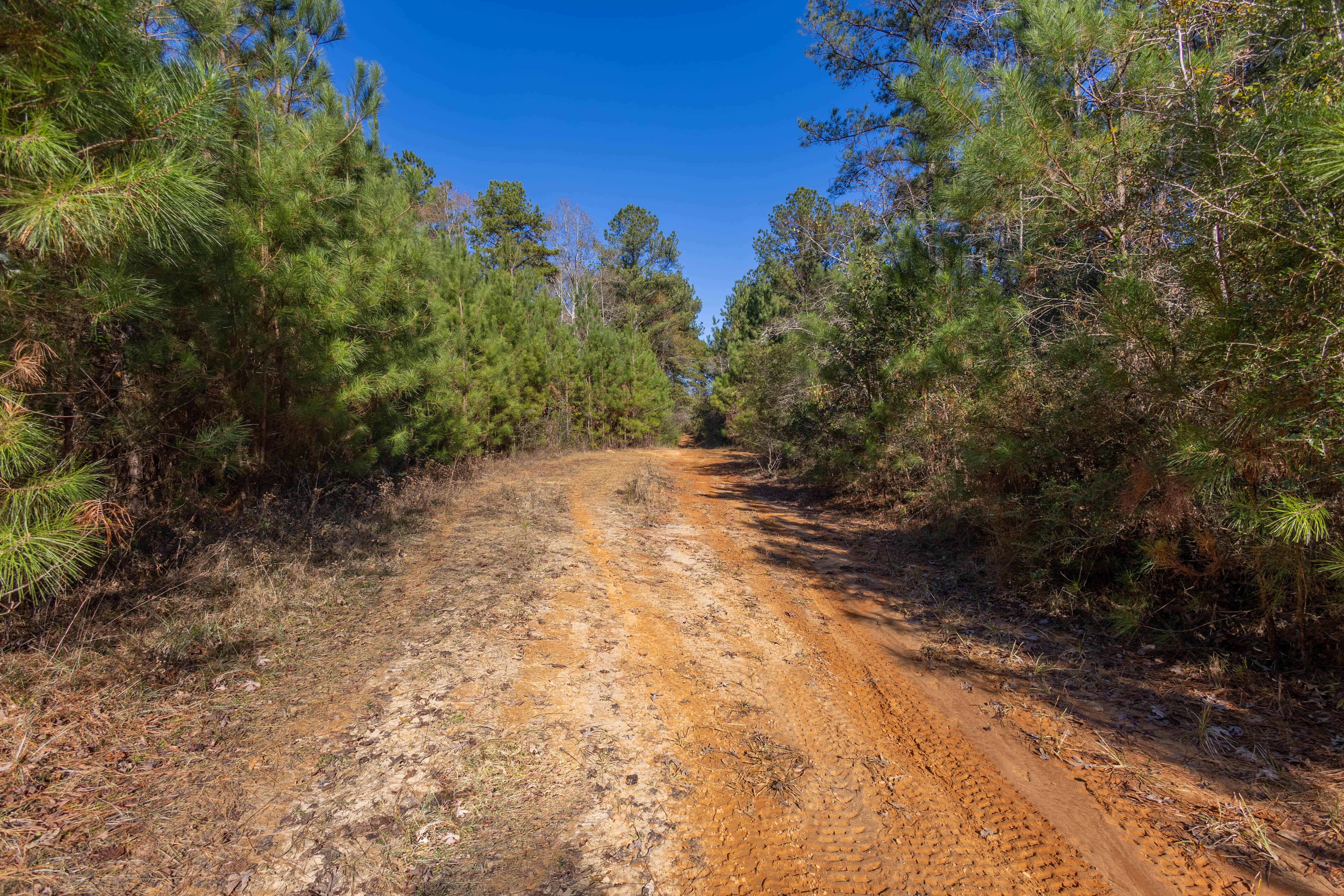 County Road 38 Ozark AL 36360