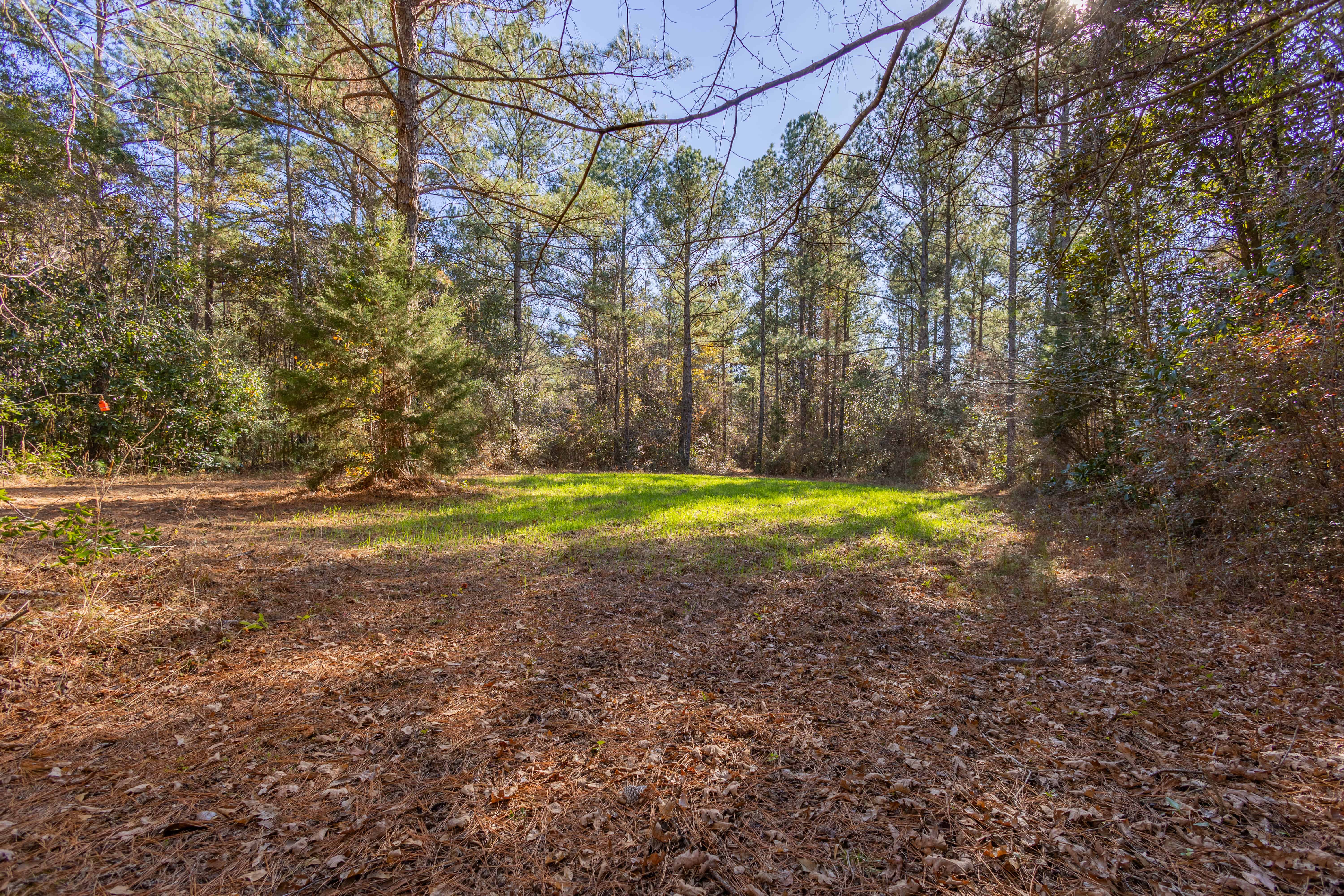 County Road 38 Ozark AL 36360