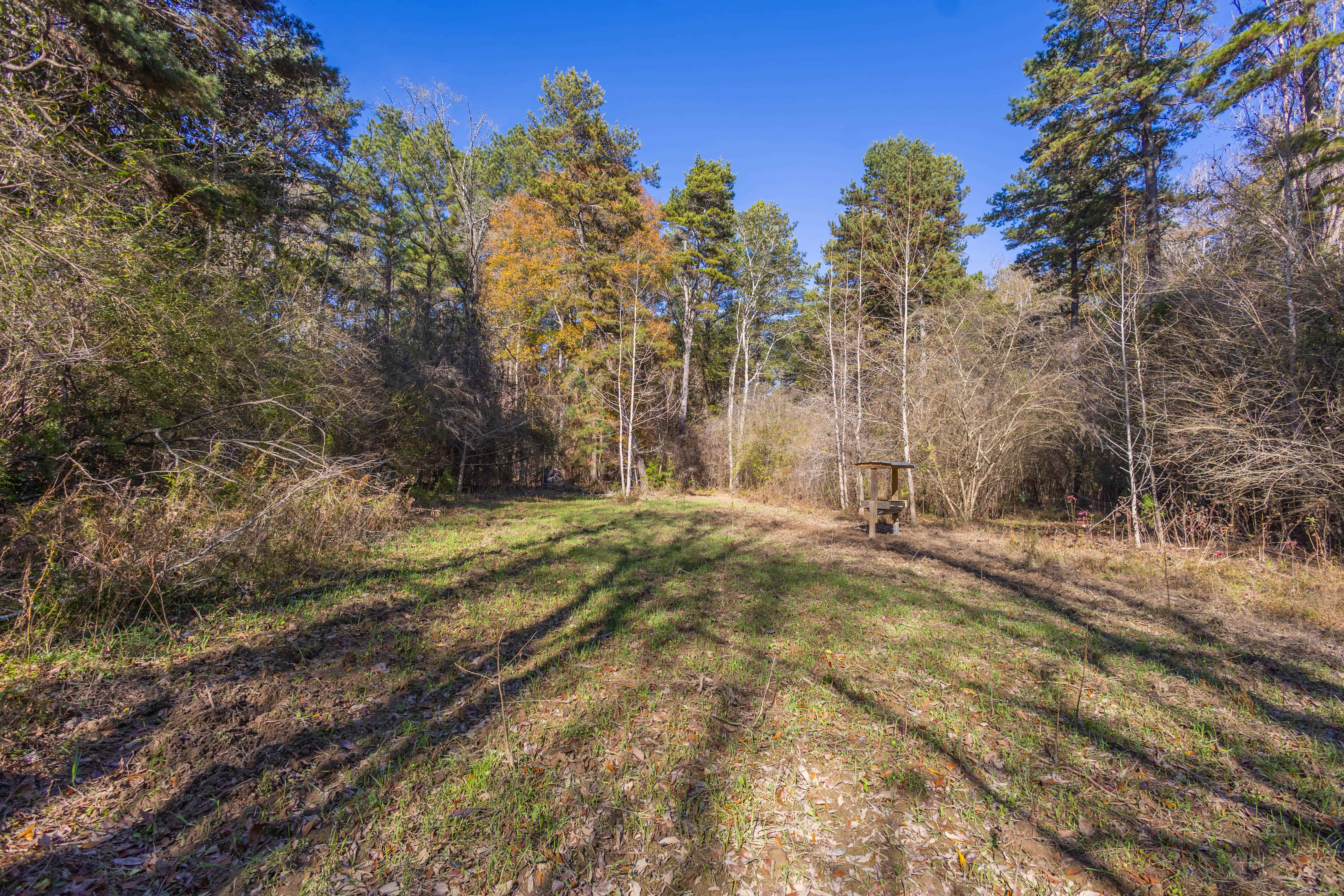 County Road 38 Ozark AL 36360