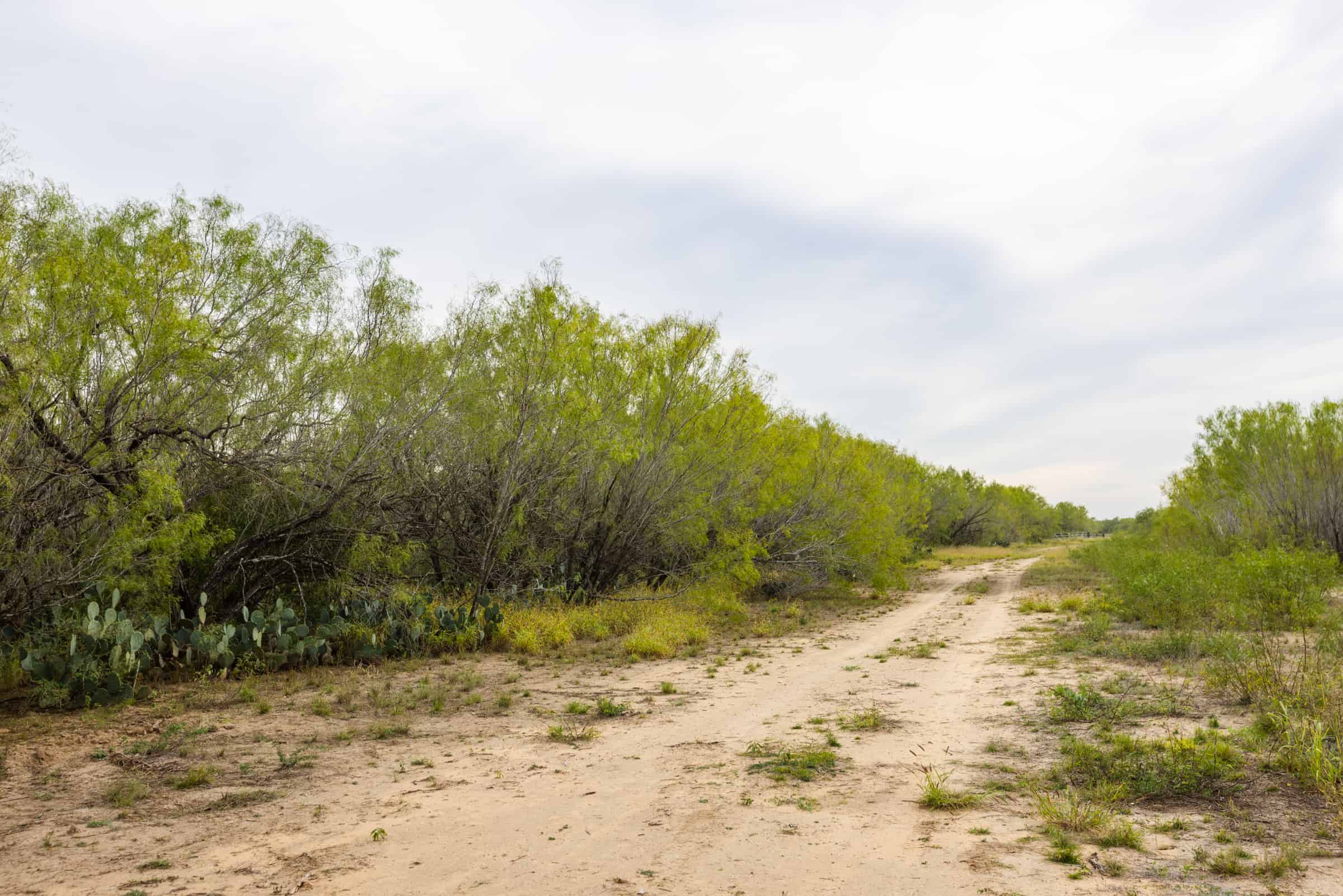 Secluded 23+/ Acre Retreat Prime Location near Pearsall, TX