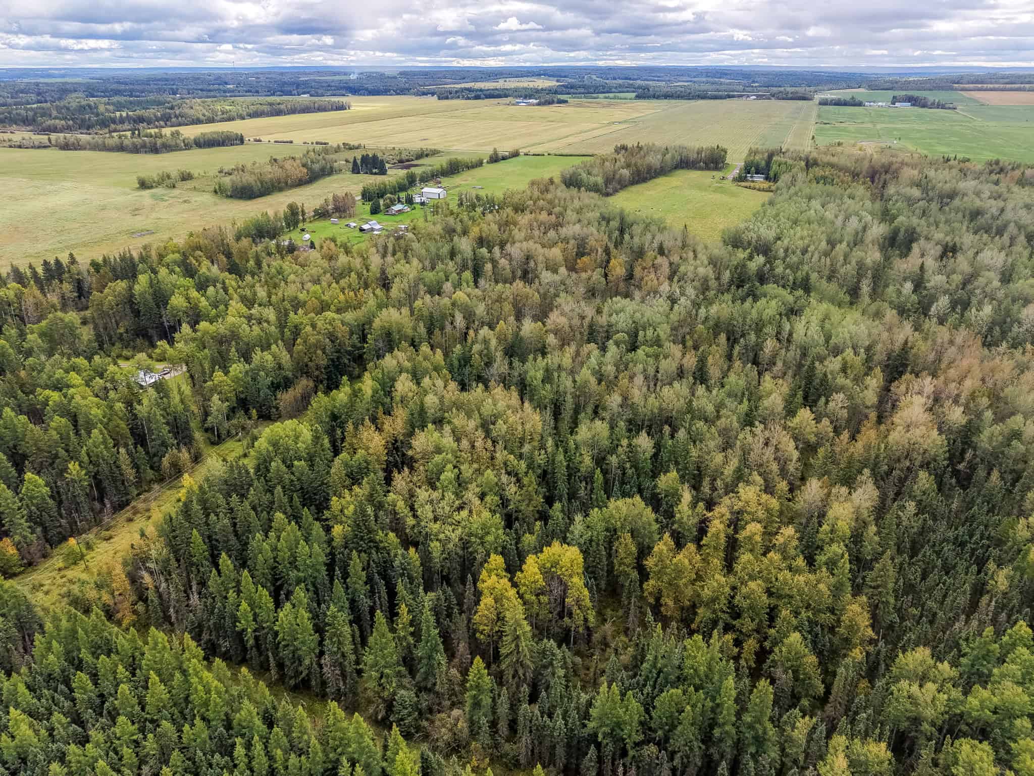 54008 Range Road 135 Carrot Creek AB T7E 5G1