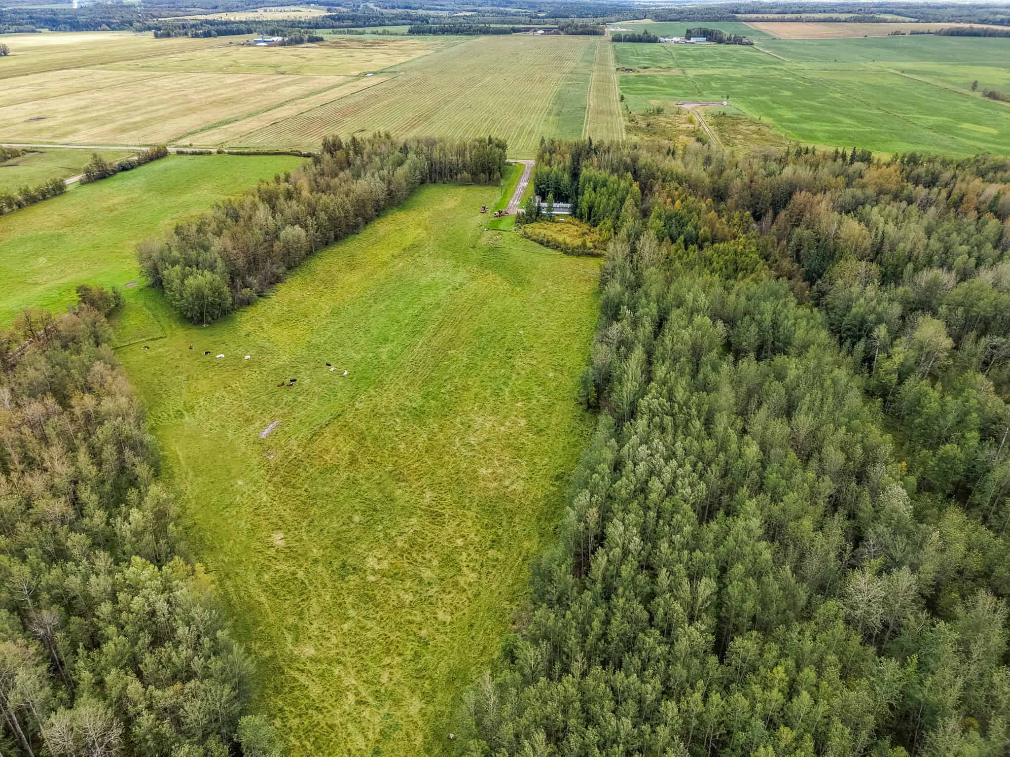 54008 Range Road 135 Carrot Creek AB T7E 5G1