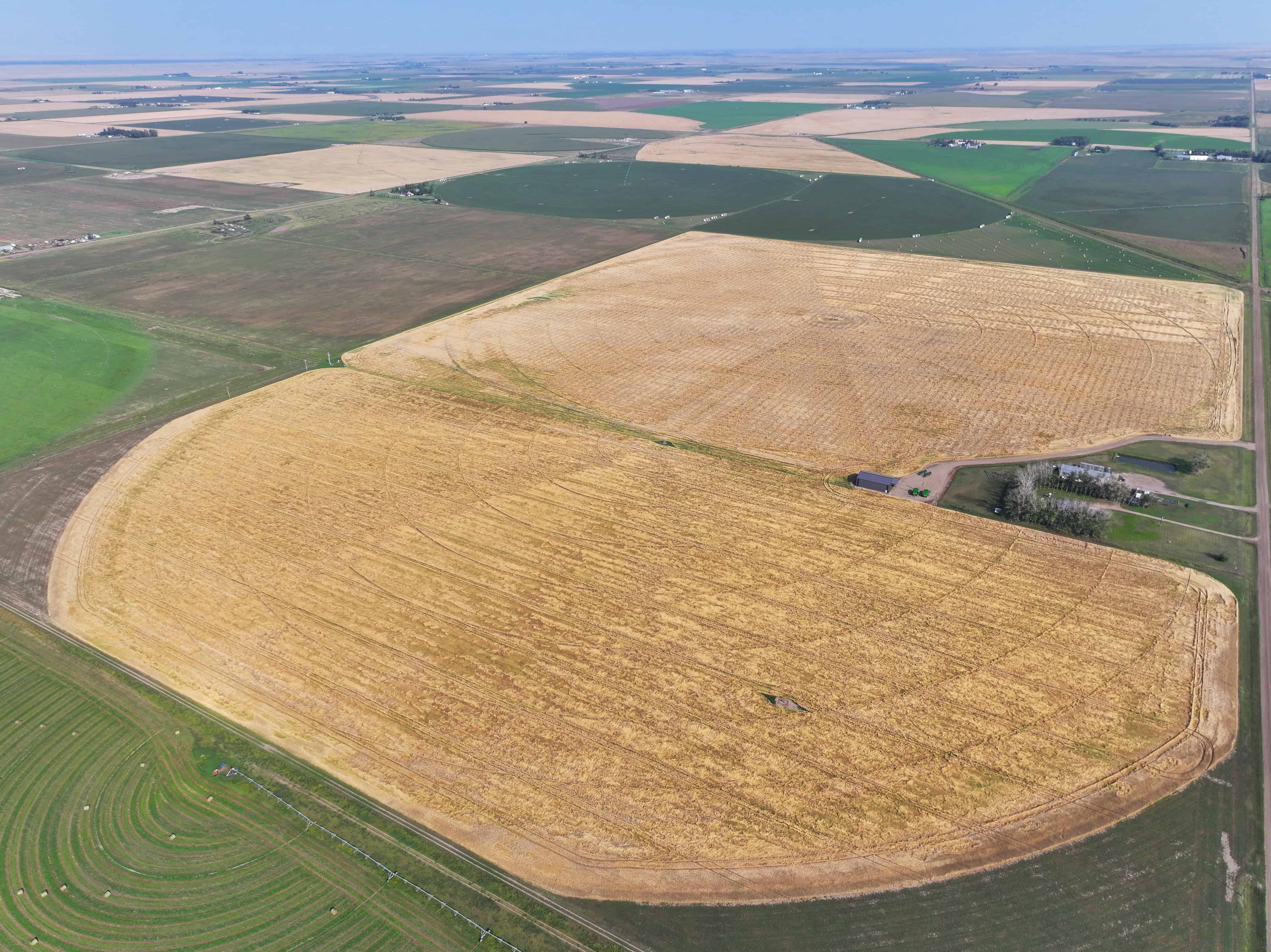 Tilley Alberta AB T0J 3K0