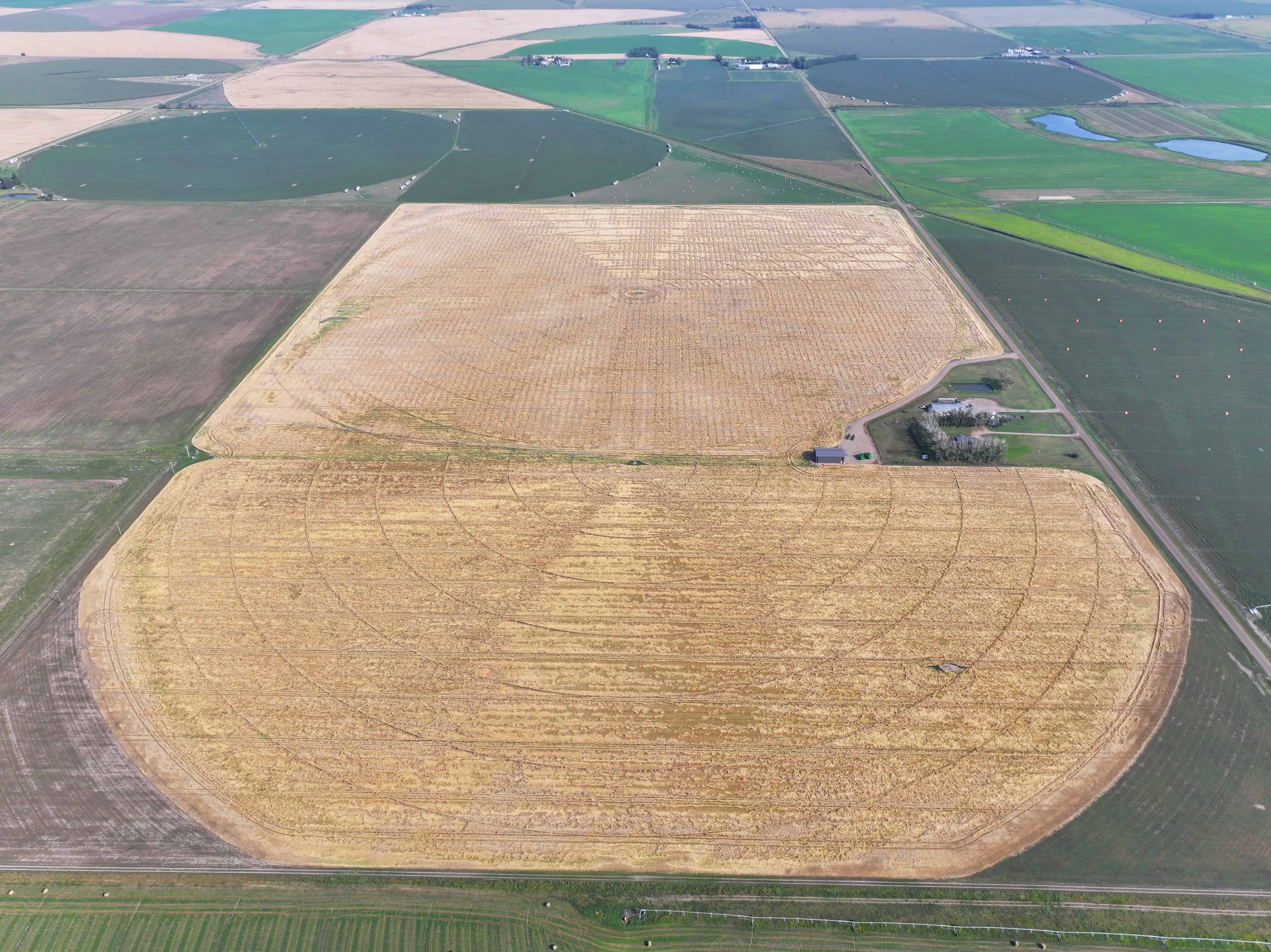Tilley Alberta AB T0J 3K0