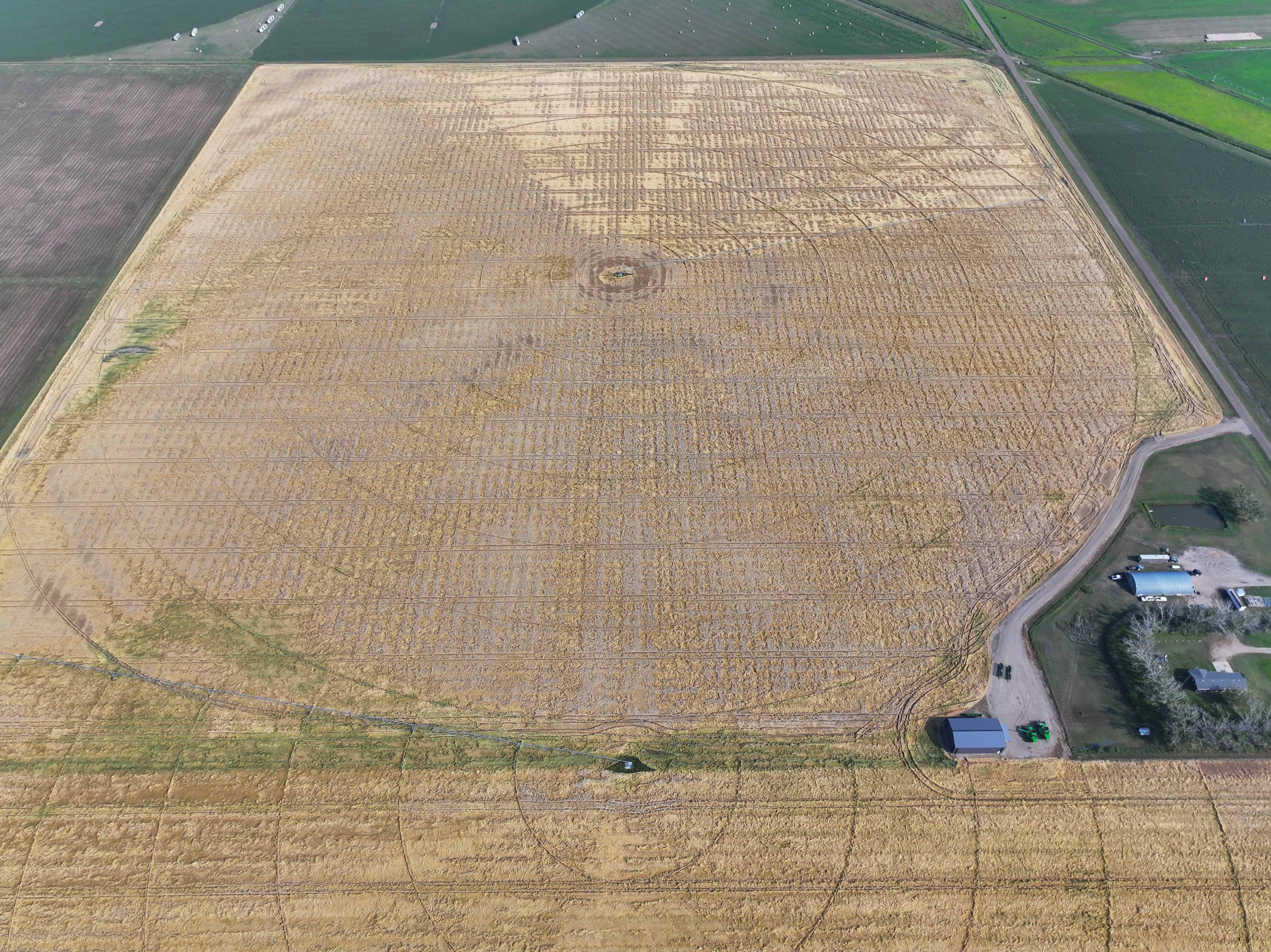 Tilley Alberta AB T0J 3K0