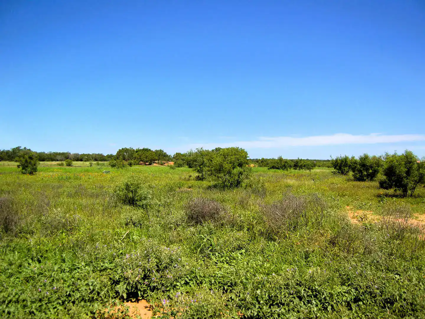 6061 Sand Hollow Road Pearsall TX 78061